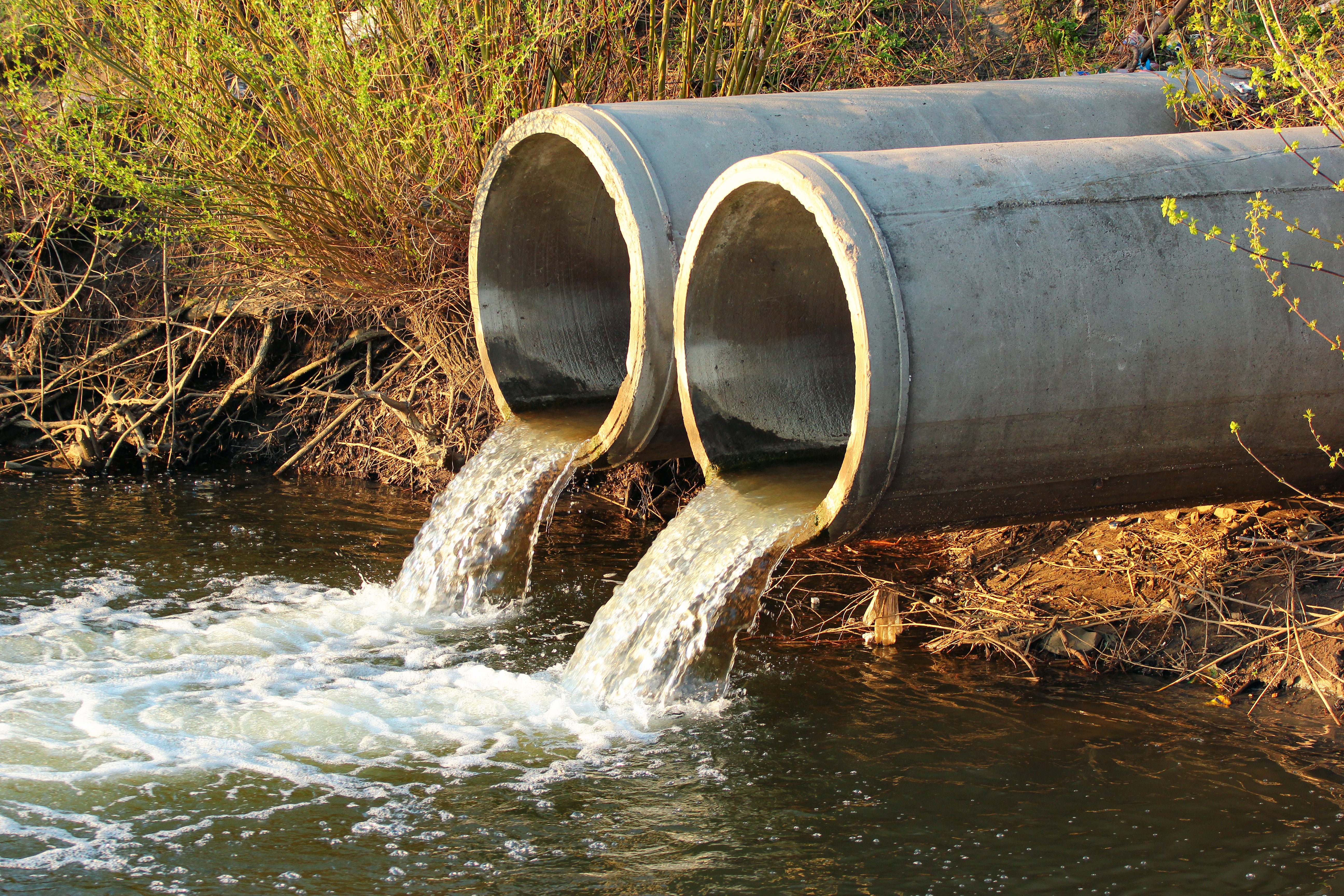 The map allows people to see where most sewage pollution is before swimming or playing there