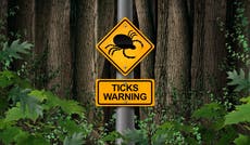 Lyme disease: What are the symptoms and how do you catch it?