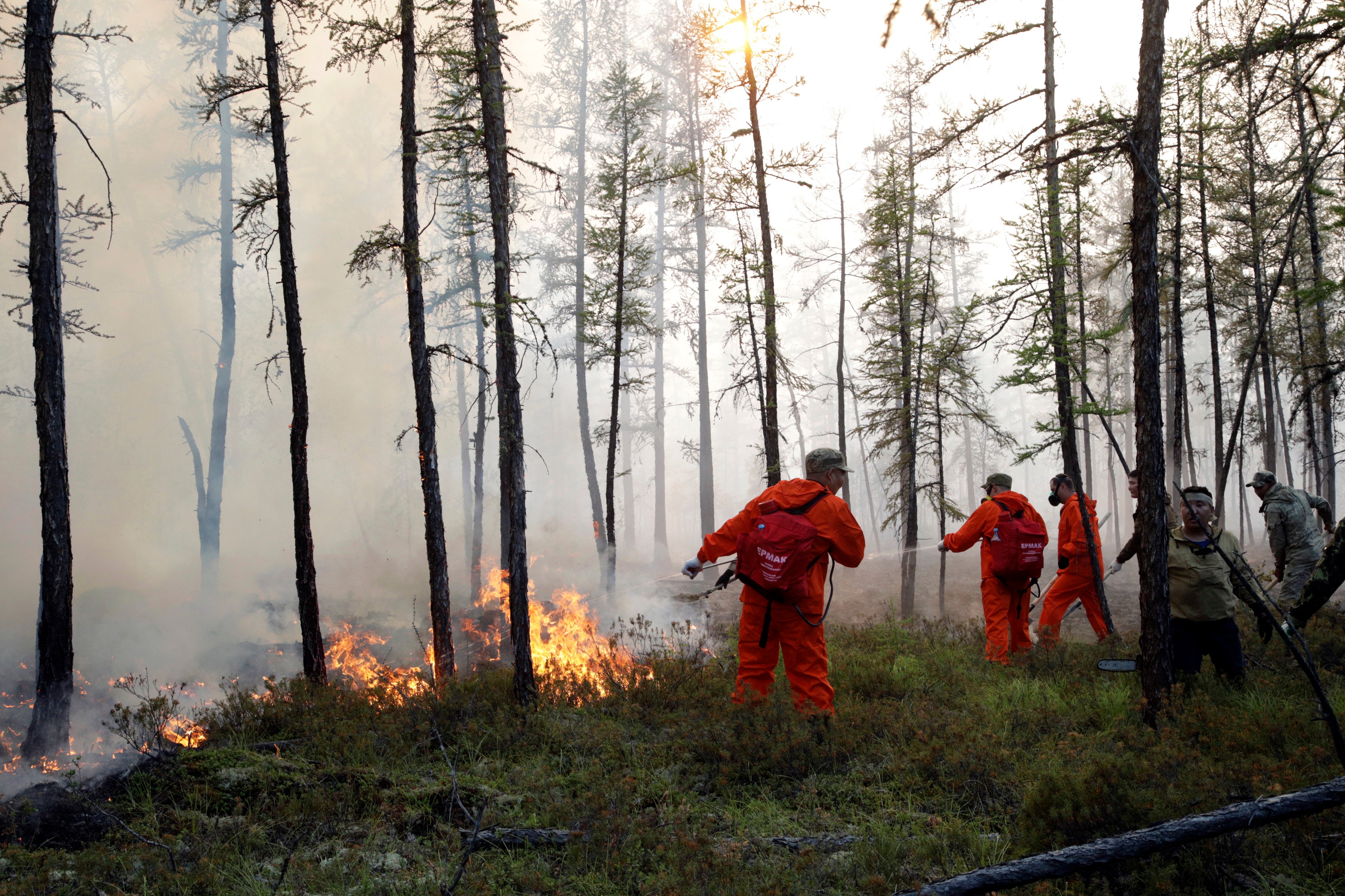 Russia Wildfires