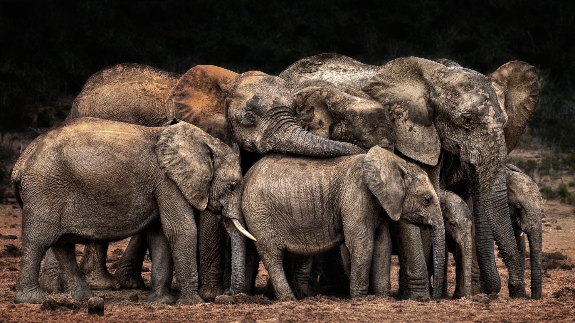 (Josef Schwarz/CEWE Photo Awards/PA)