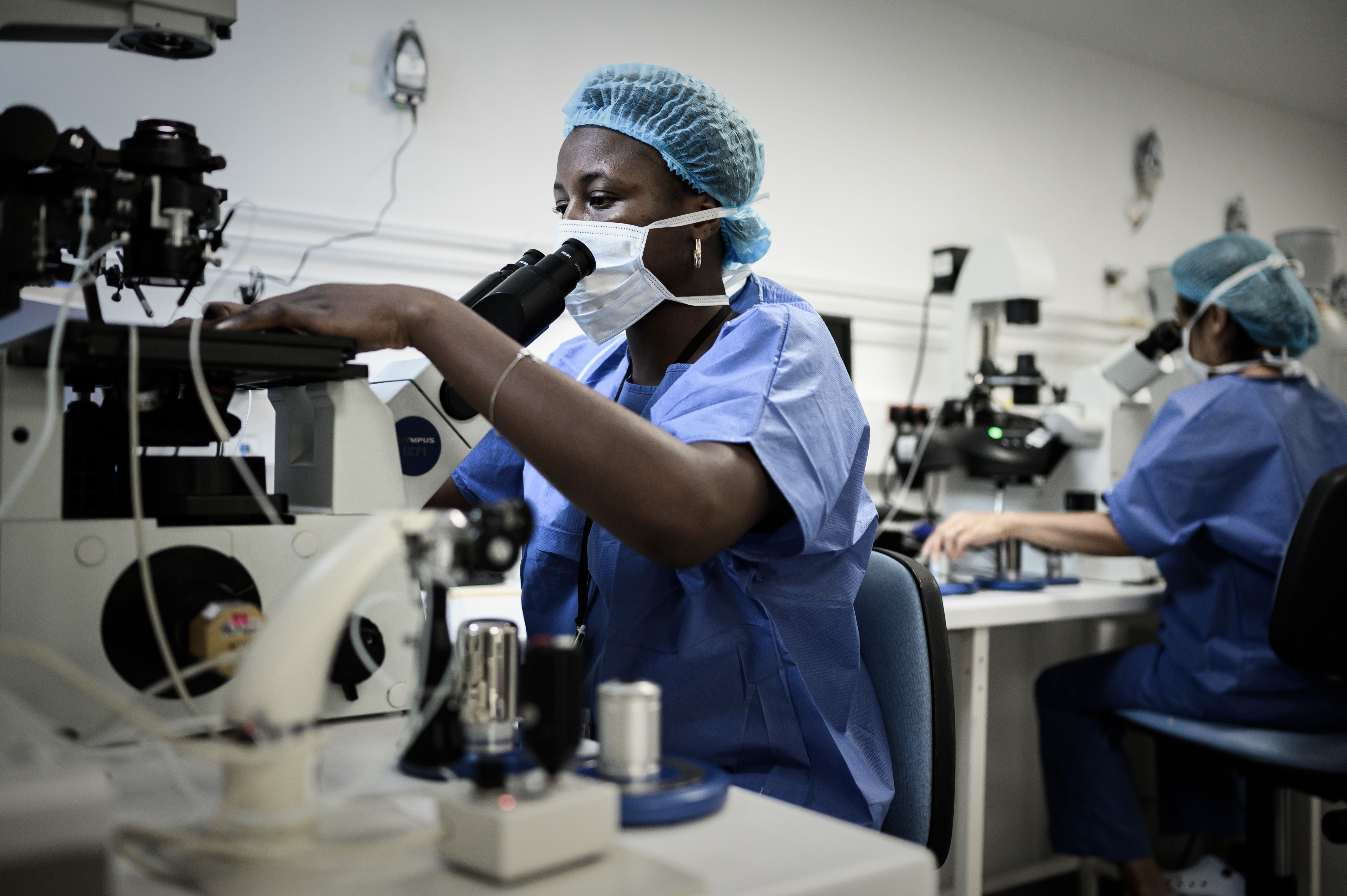 A technician performs an intra cytoplasmic sperm injection process in Paris