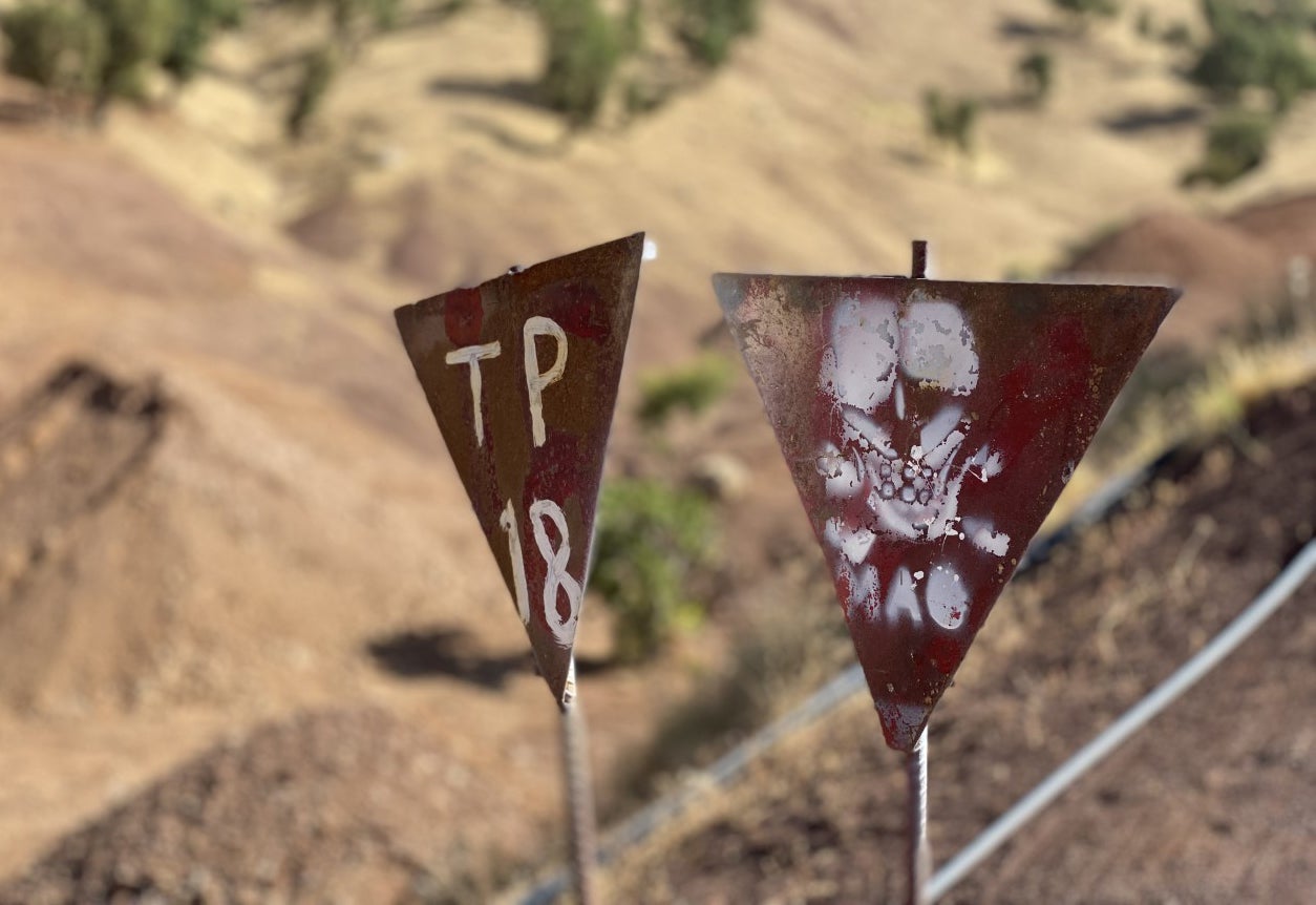 Red triangles with a skull on them are used to denote the edge of the minefield