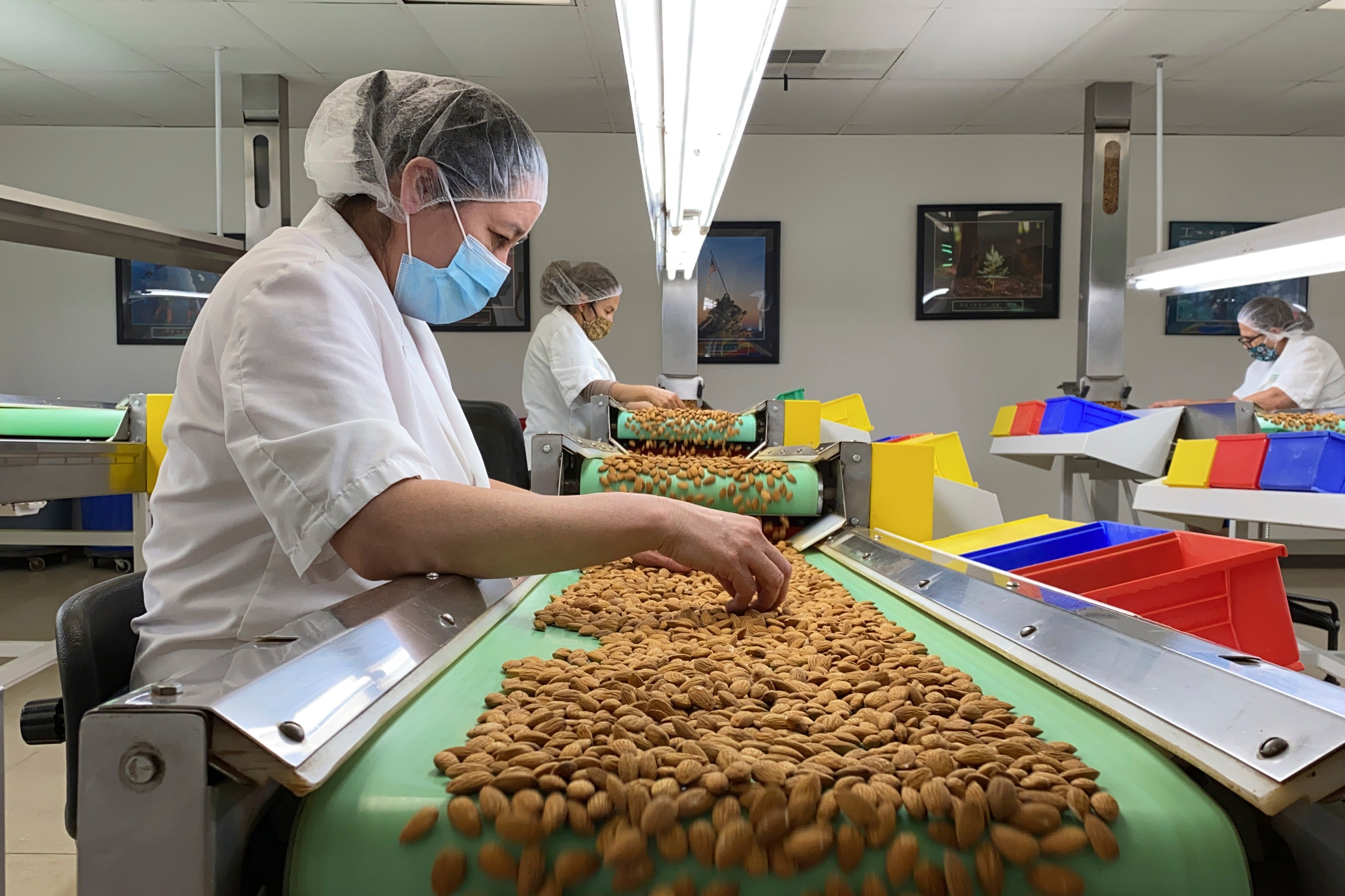 Drought Thirsty Almonds