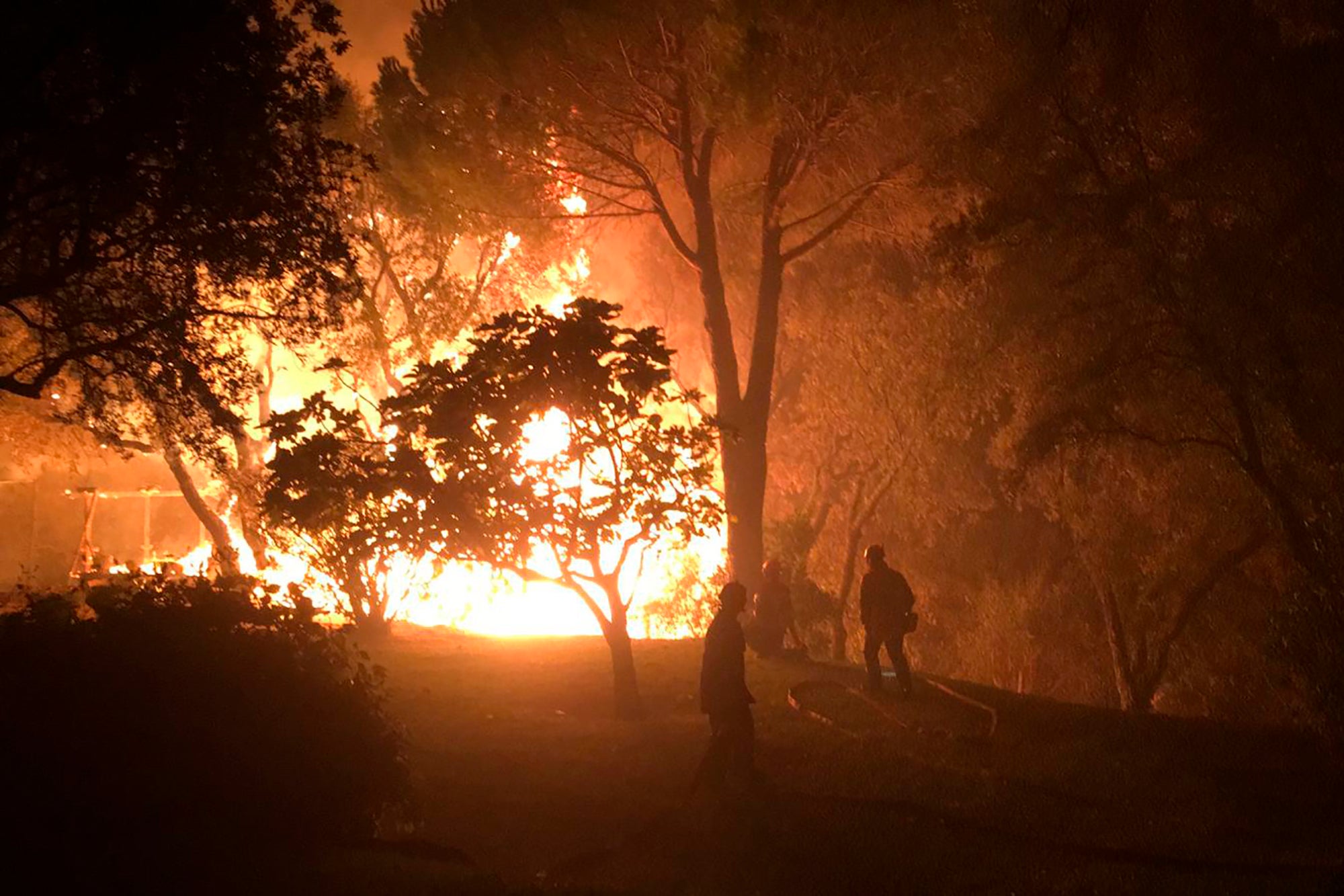 France Wildfire