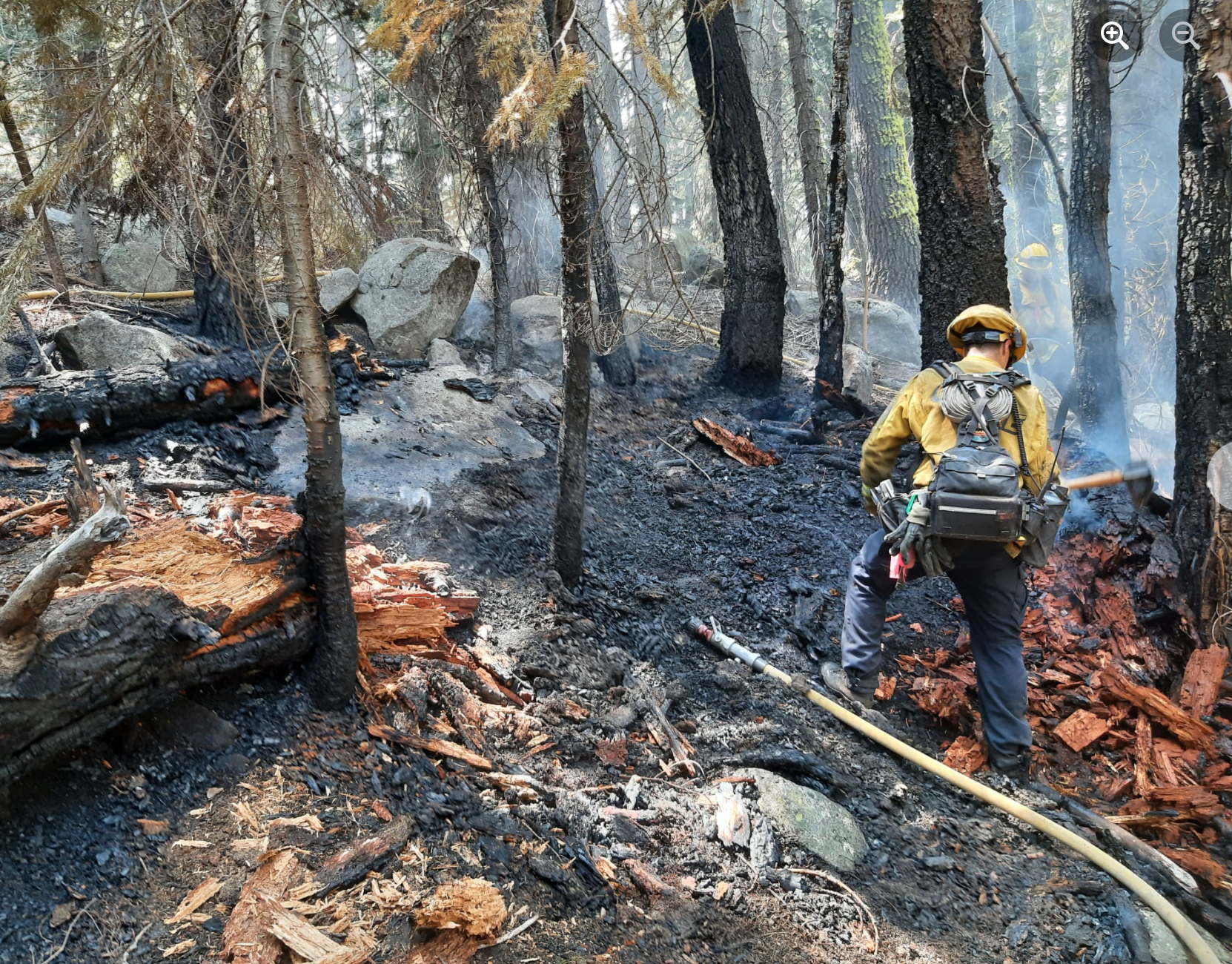 Bikini-clad woman accused of starting fire near Lake Tahoe in California