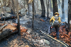 Bikini-clad woman accused of starting fire near Lake Tahoe in California