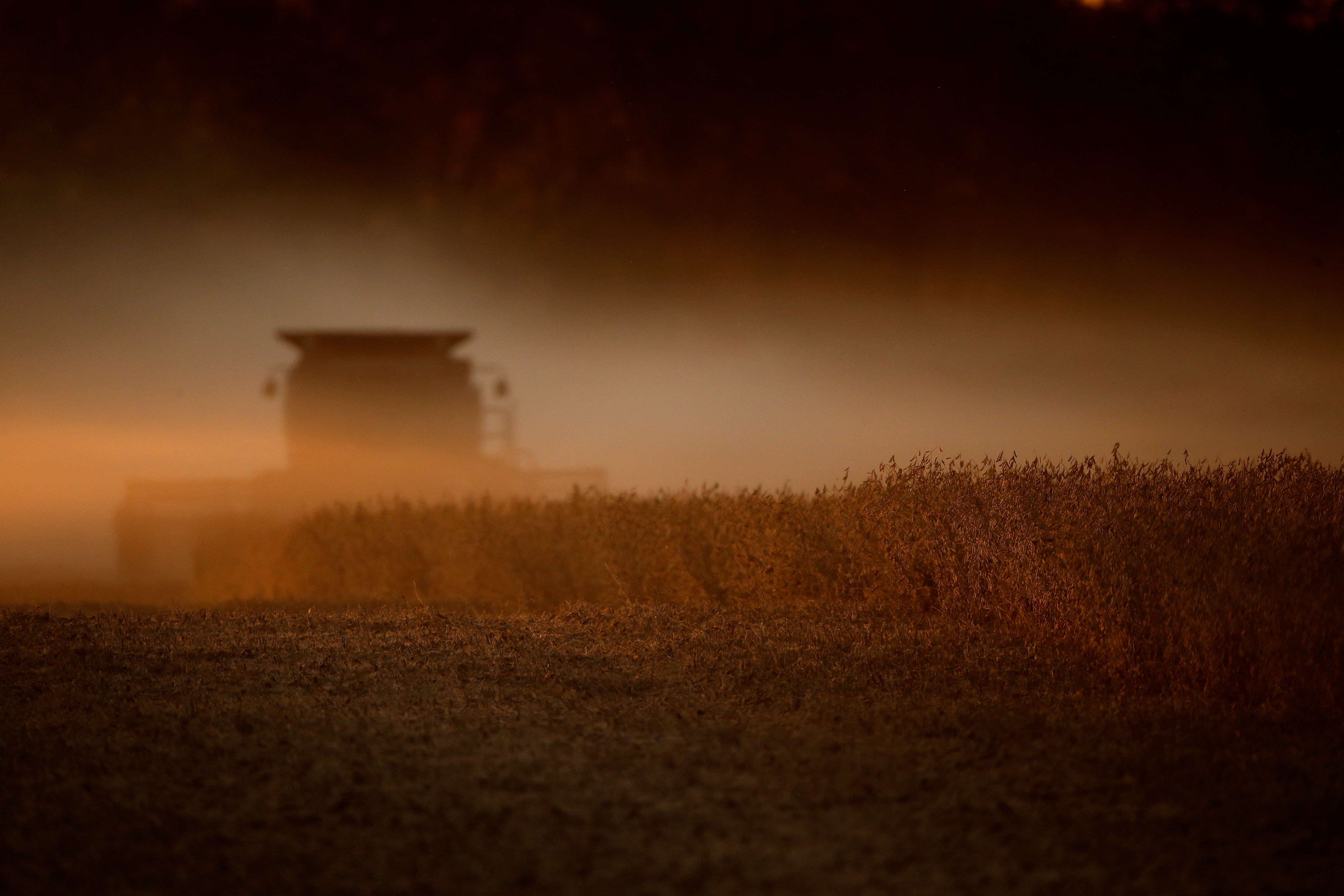 EPA Chlorpyrifos Ban