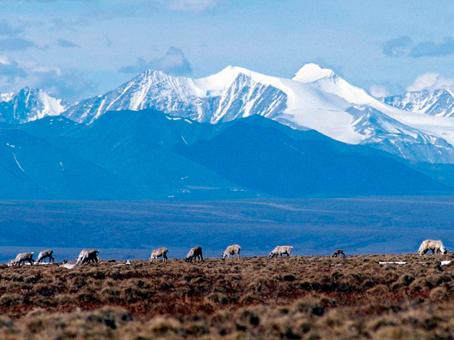 Arctic Refuge Alaska