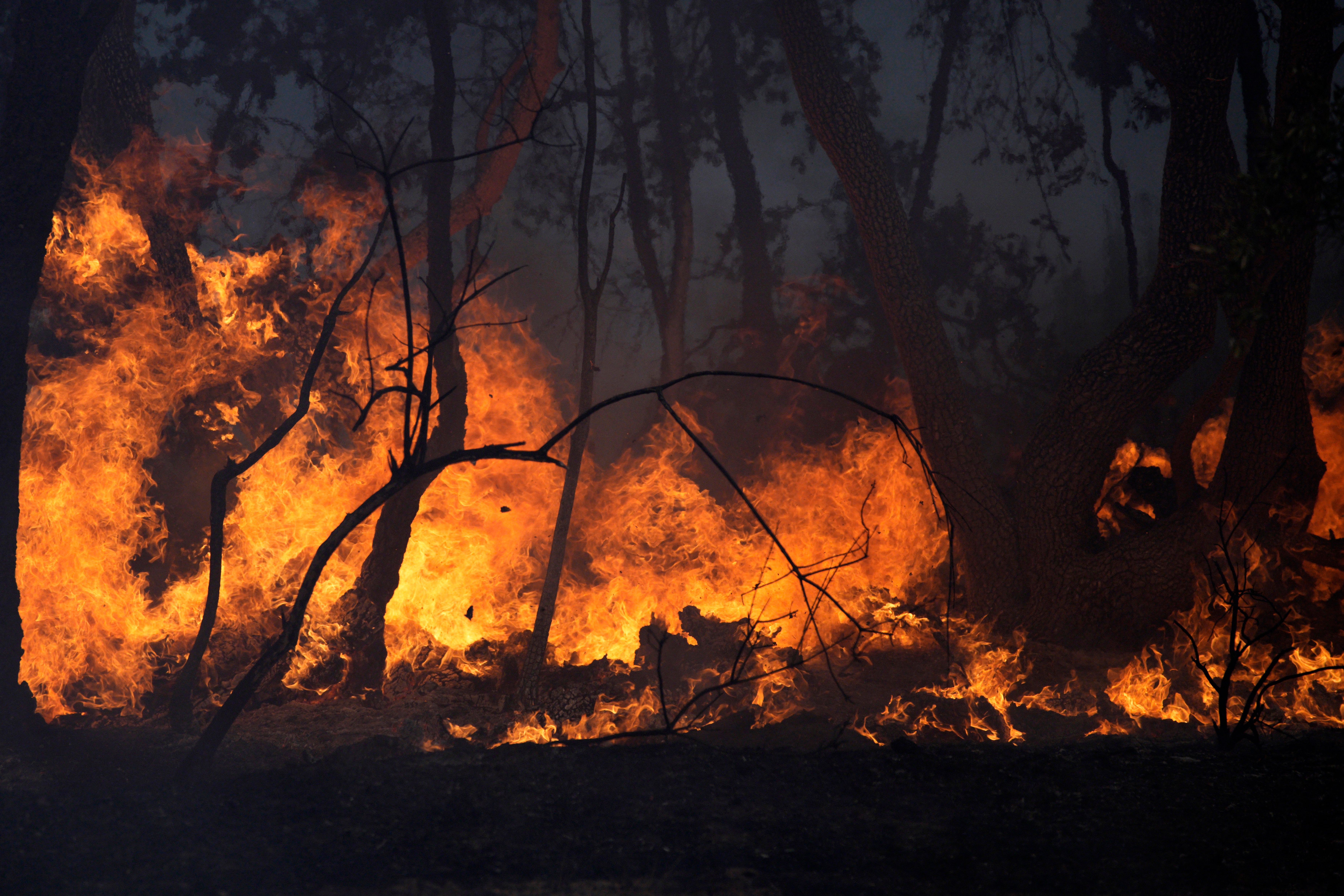 France Wildfire