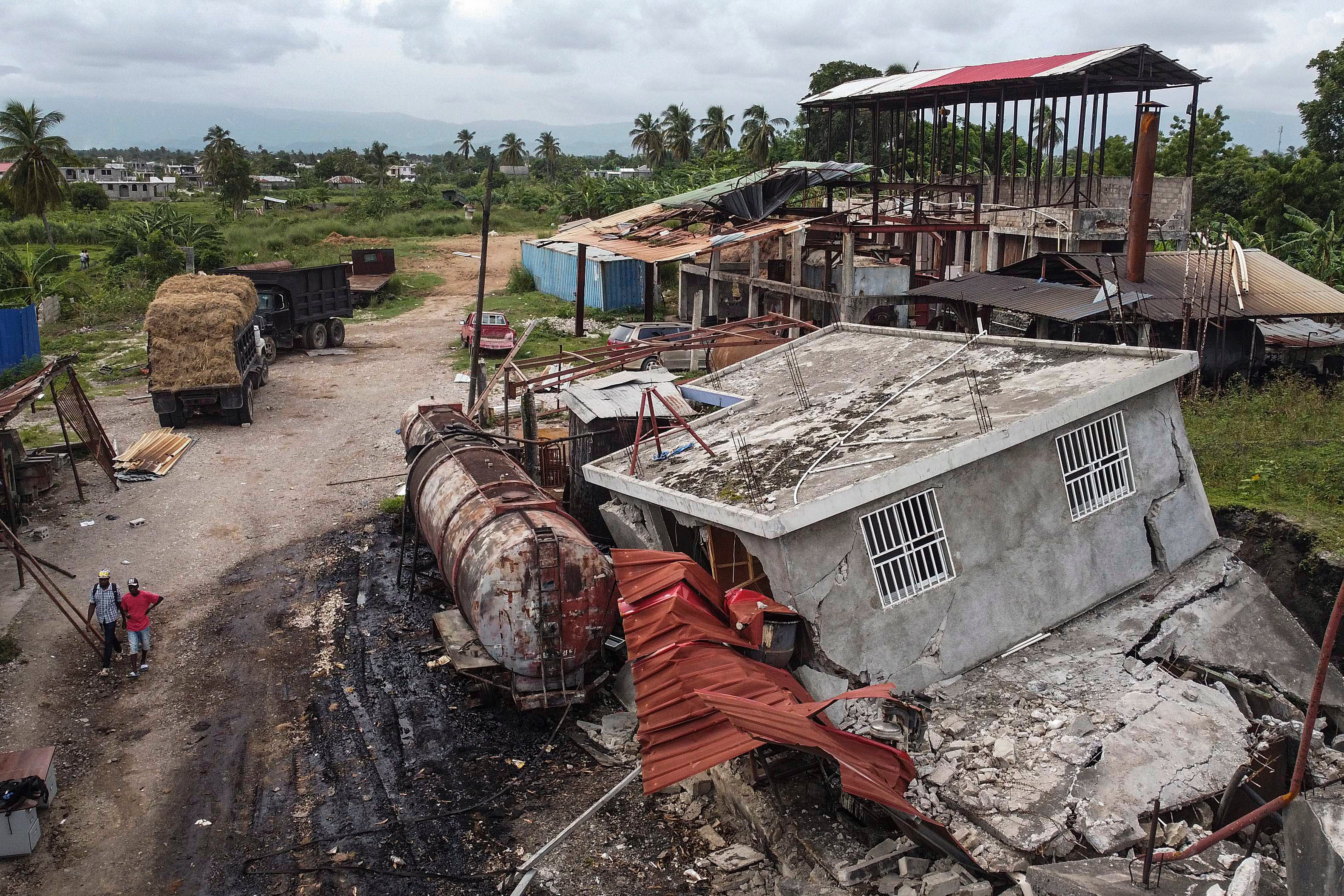 Haiti Earthquake Vetiver