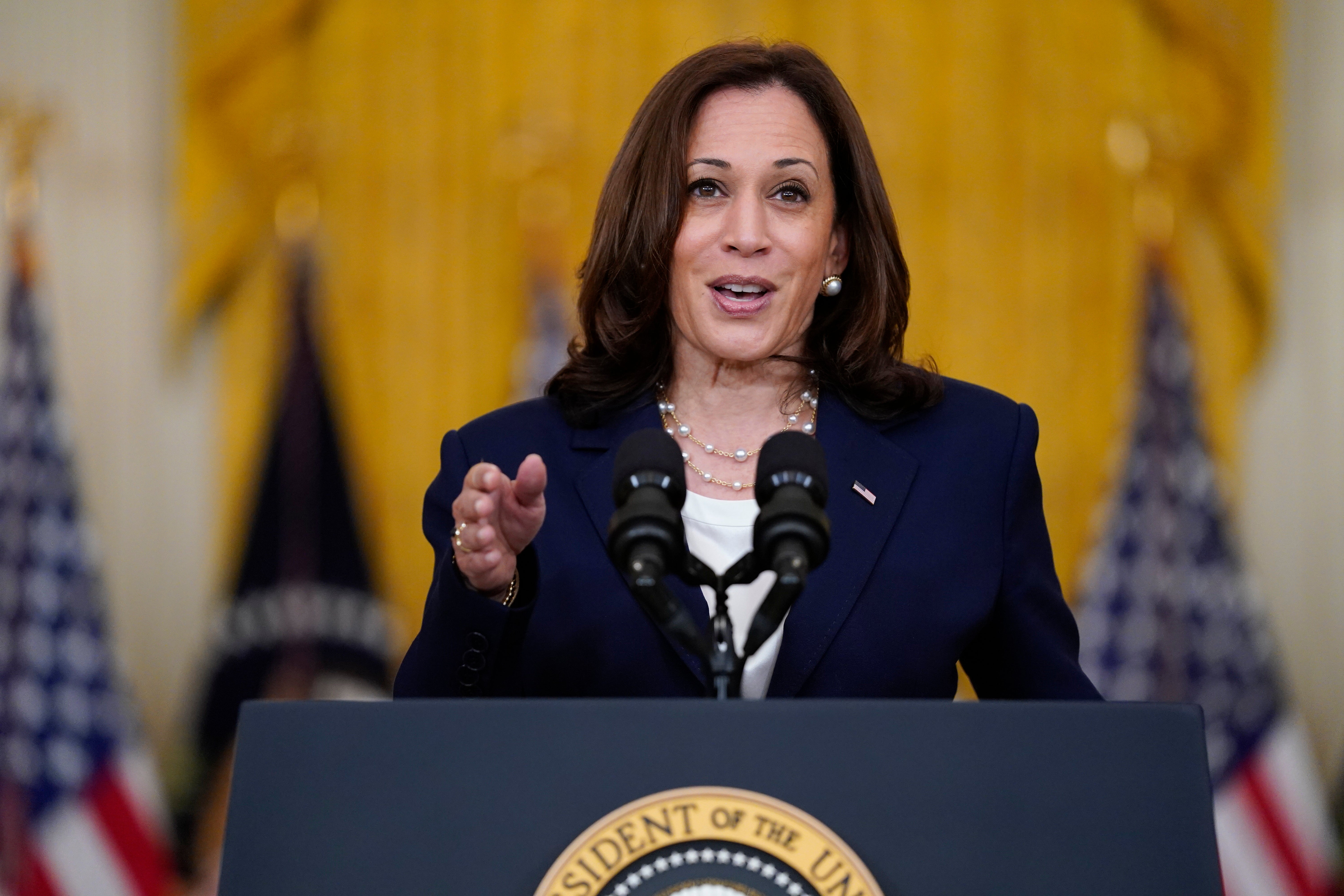 In this 10 August 2021, file photo, Vice President Kamala Harris speaks from the East Room of the White House in Washington