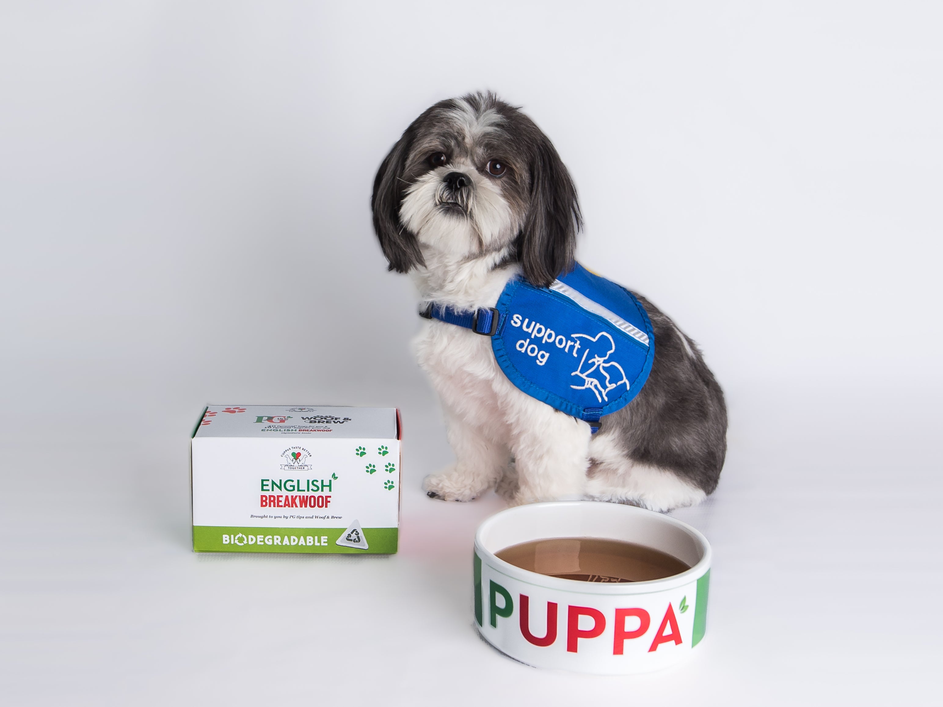 PG Tips launches English Breakwoof tea