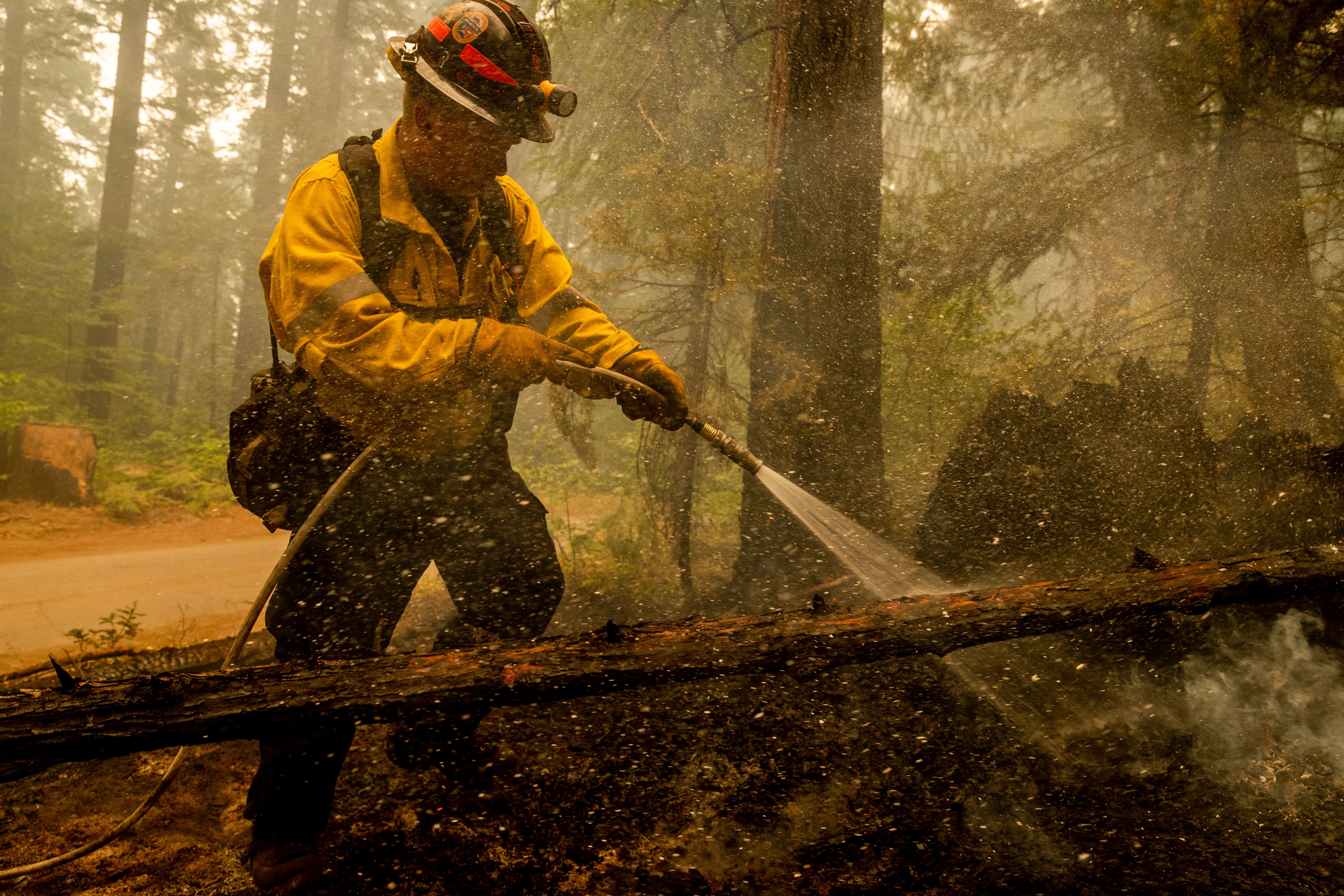 Western Wildfires