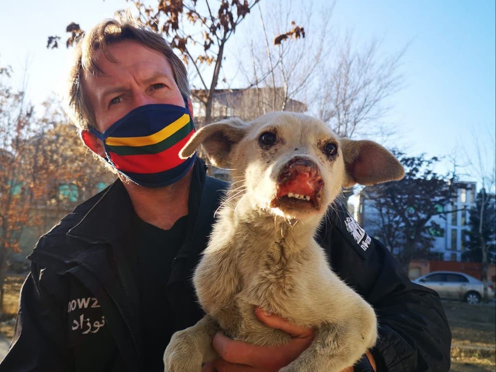 <p>Pen Farthing, who runs an animal charity from Kabul, has said he is ‘so happy’ that his staff had escaped </p>