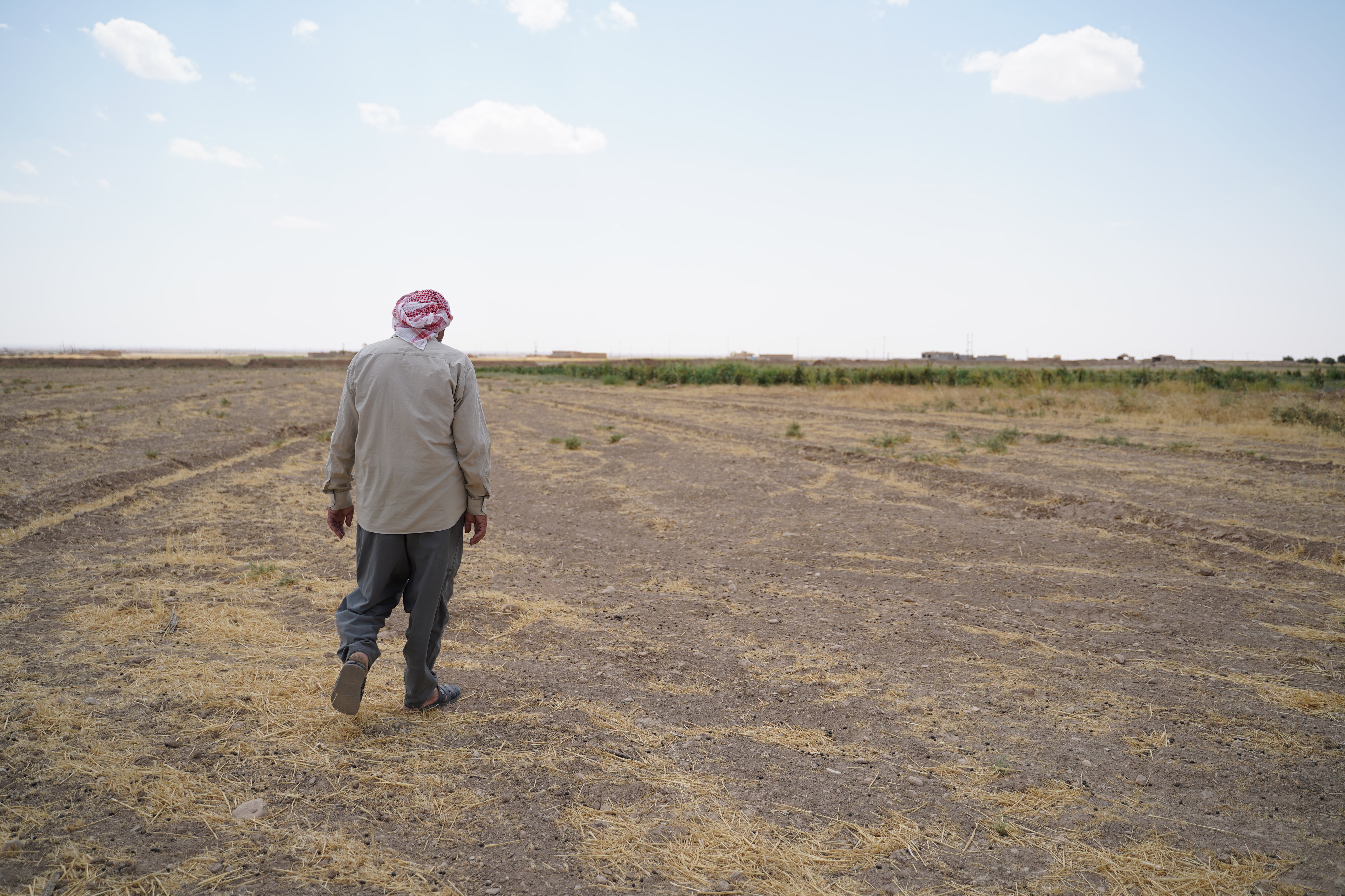 Haji Hassa, a Yazidi farmer from Sinjar, said: “The drought ruined our tomatoes, eggplants… you can see for yourself, it’s all because of lack of rain.”