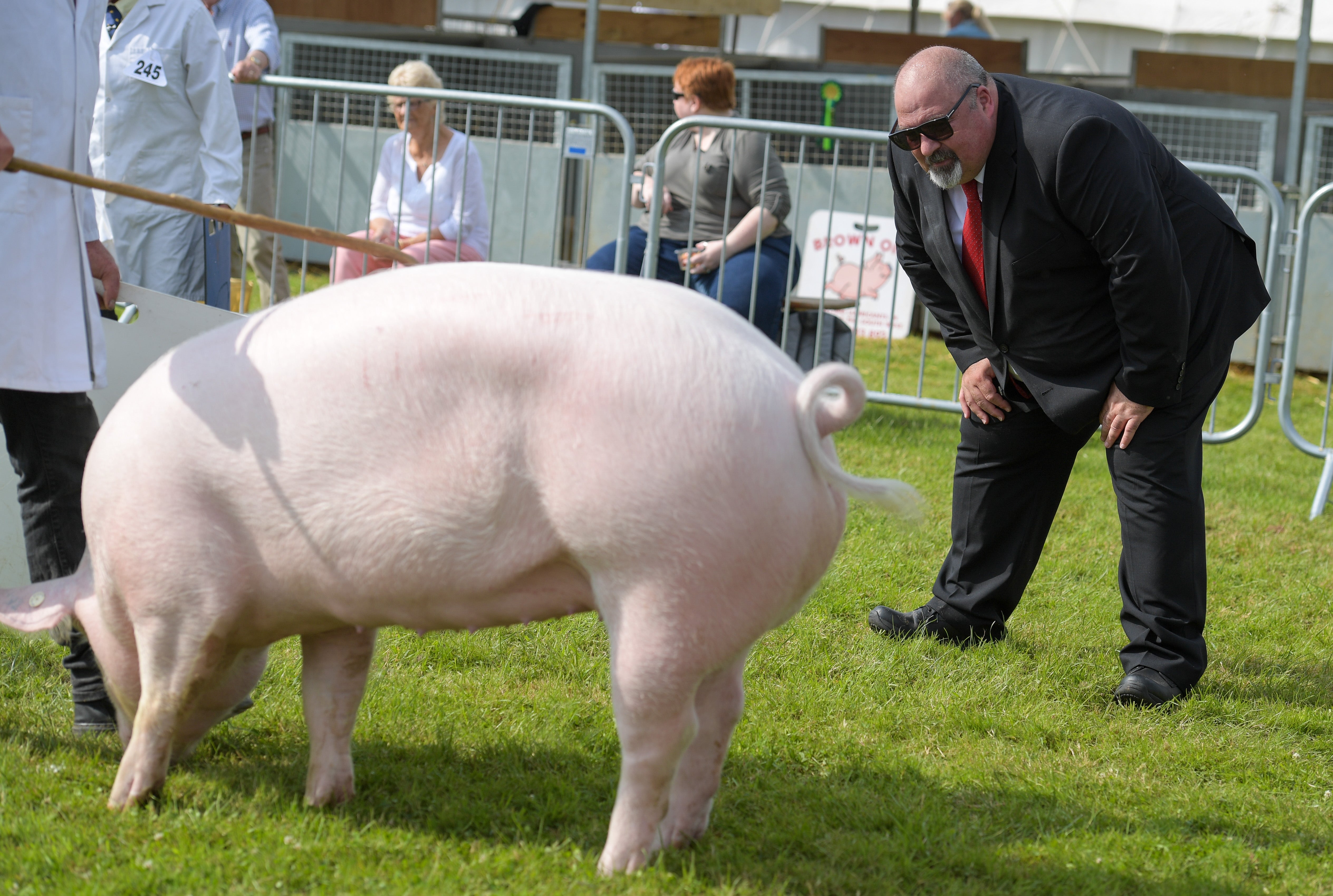 Is British agriculture headed to the abattoir?