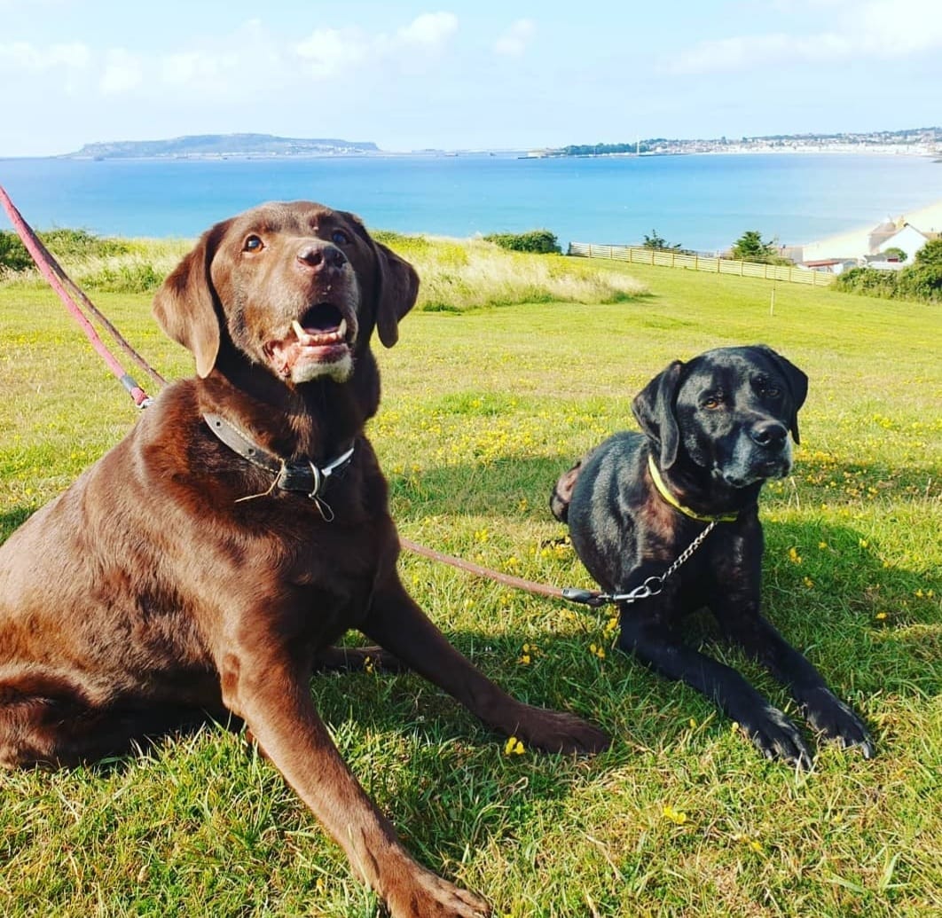 Zac and Purdy were the best of friends (Collect/PA Real Life).