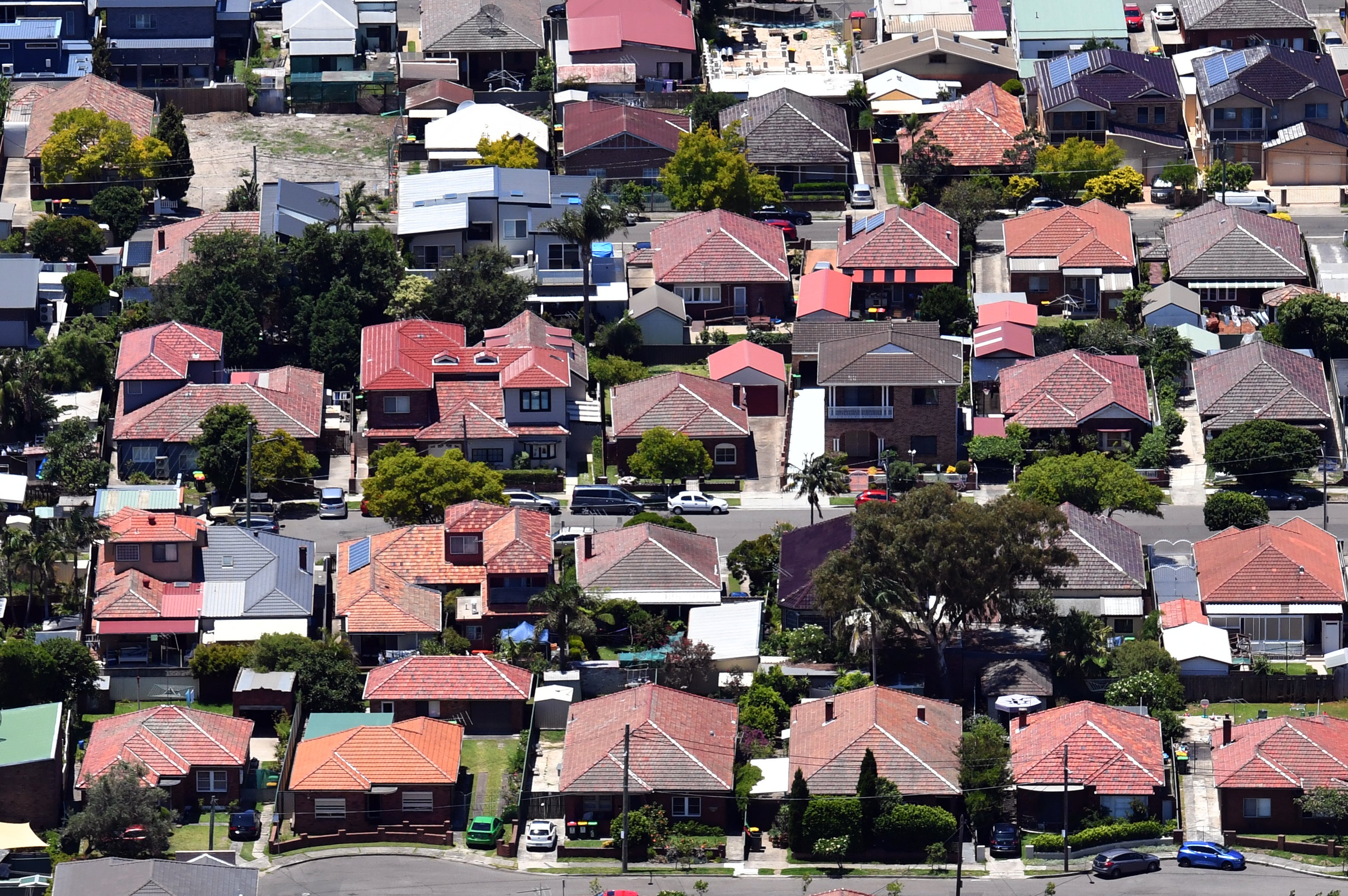 Sydney (pictured) will ask residents to paint roofs white and plant a tree in each garden