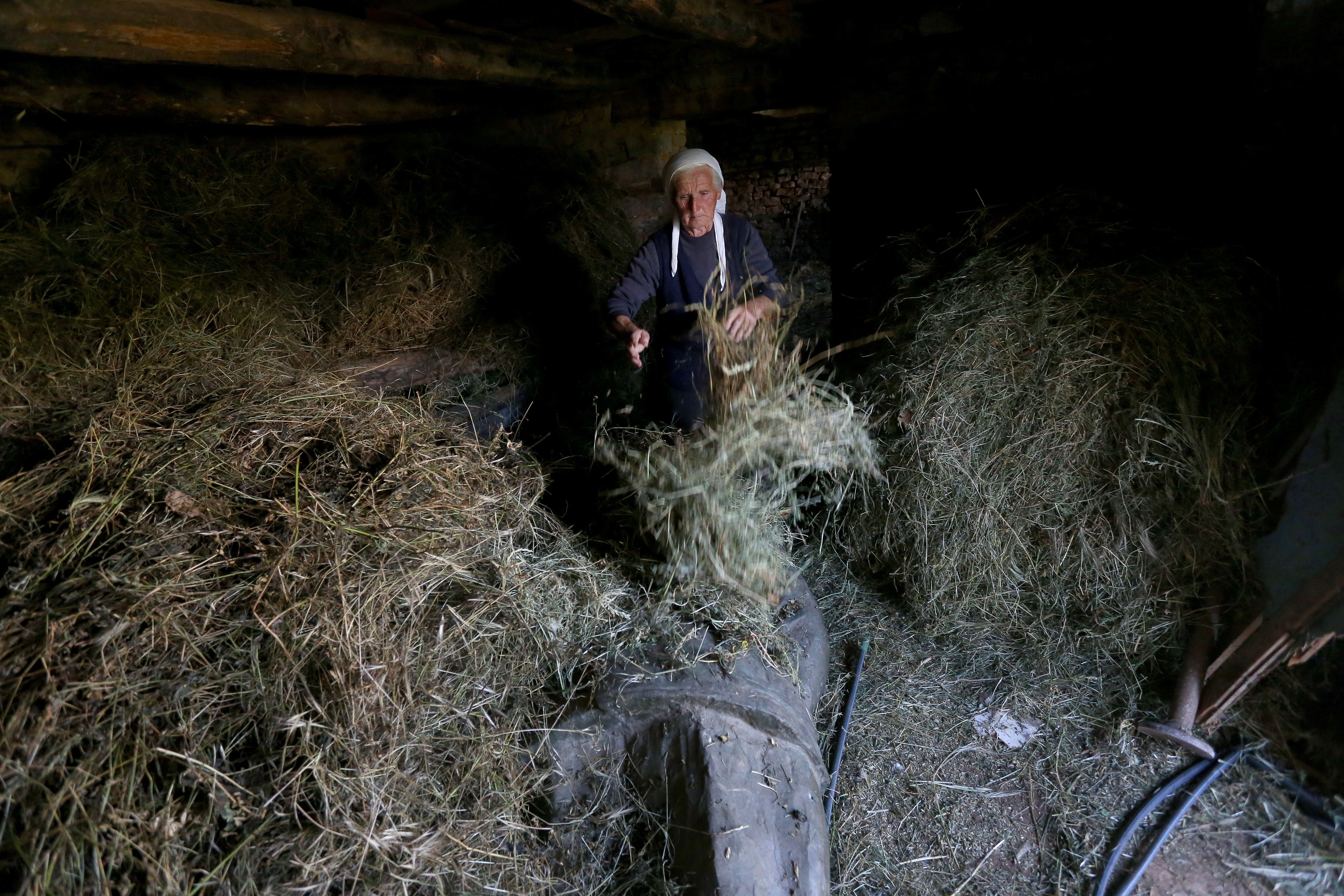 Sabire Plaku covers the statue with straw