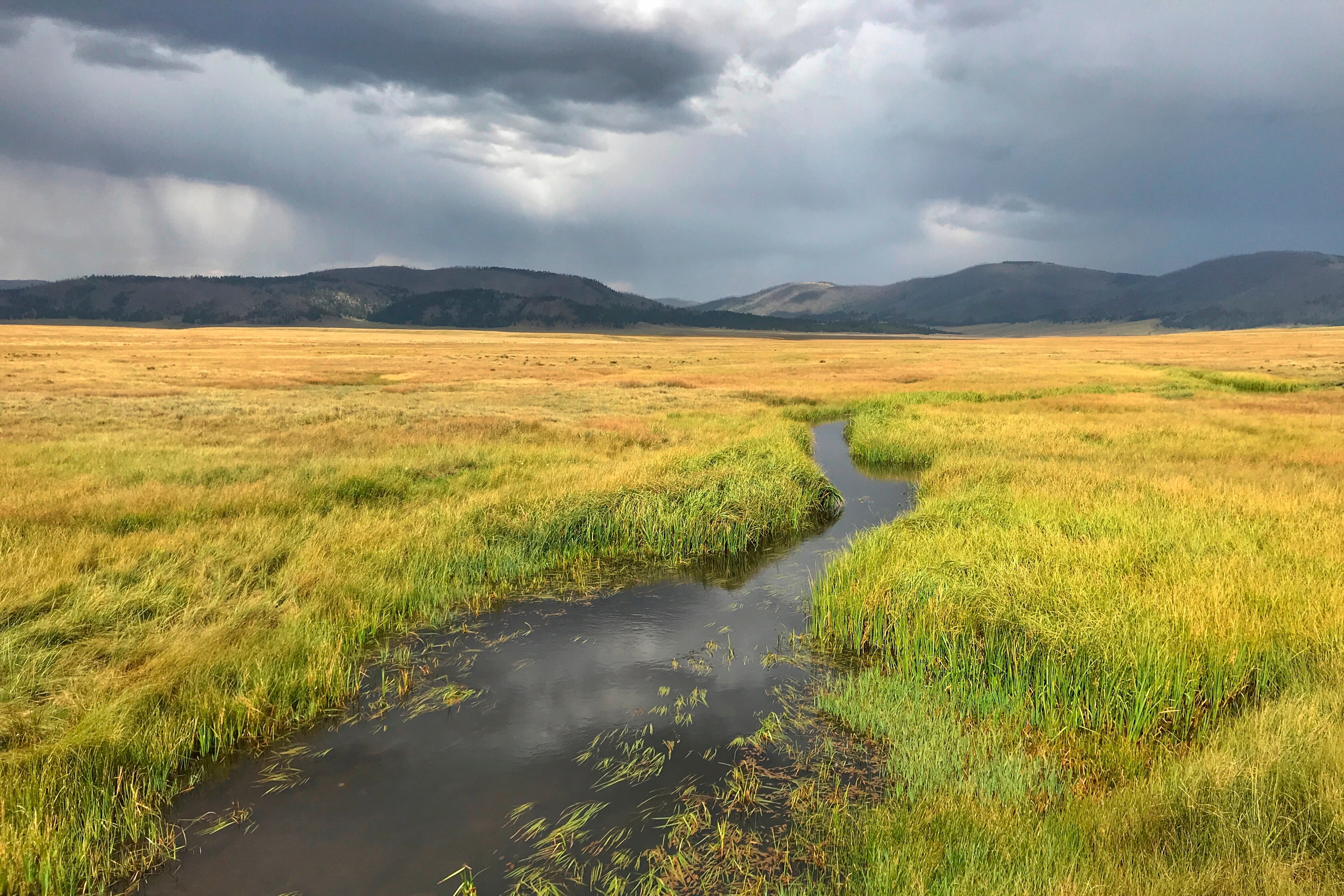 New Mexico Conservation