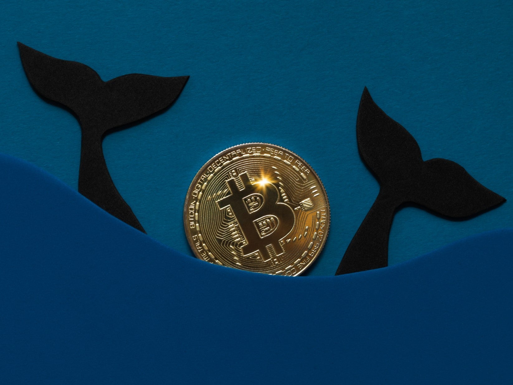 So-called bitcoin whales are once again stockpiling the cryptocurrency in expectation of price gains