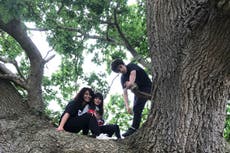 ‘Staycations’ aren’t what they used to be – bring back double-decker bus rides and trips to the zoo