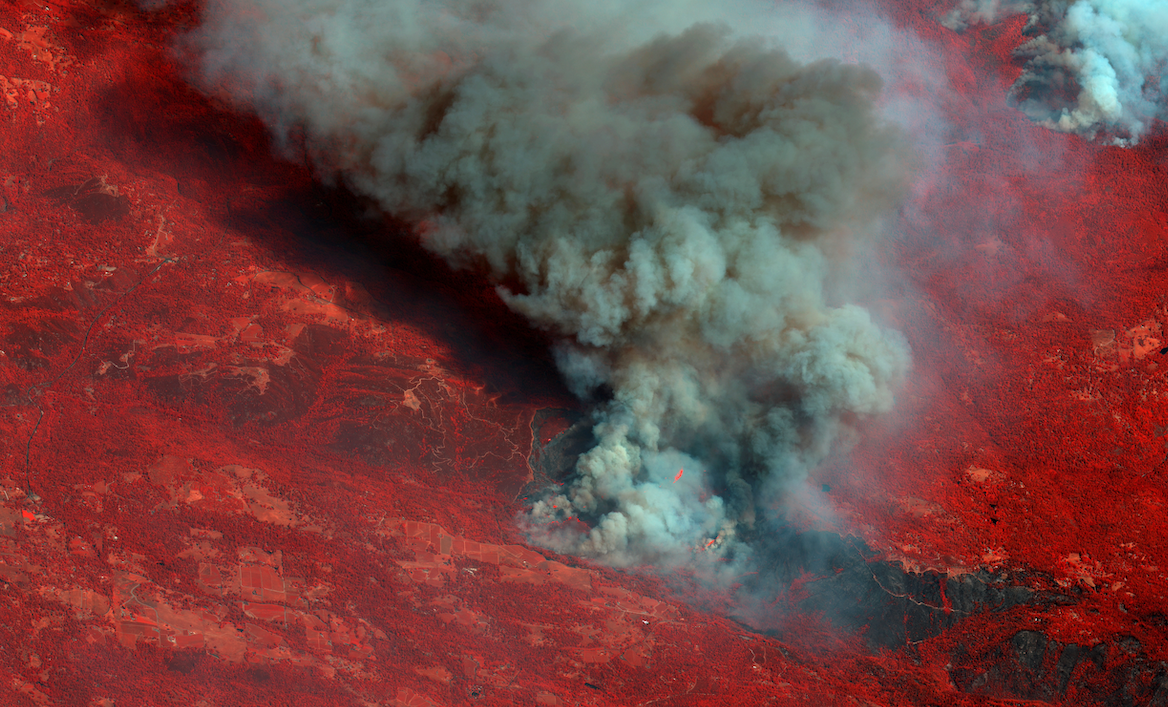 A colour infrared satellite image of smoke billowing from Caldor Fire east of Sacramento, California, 25 August