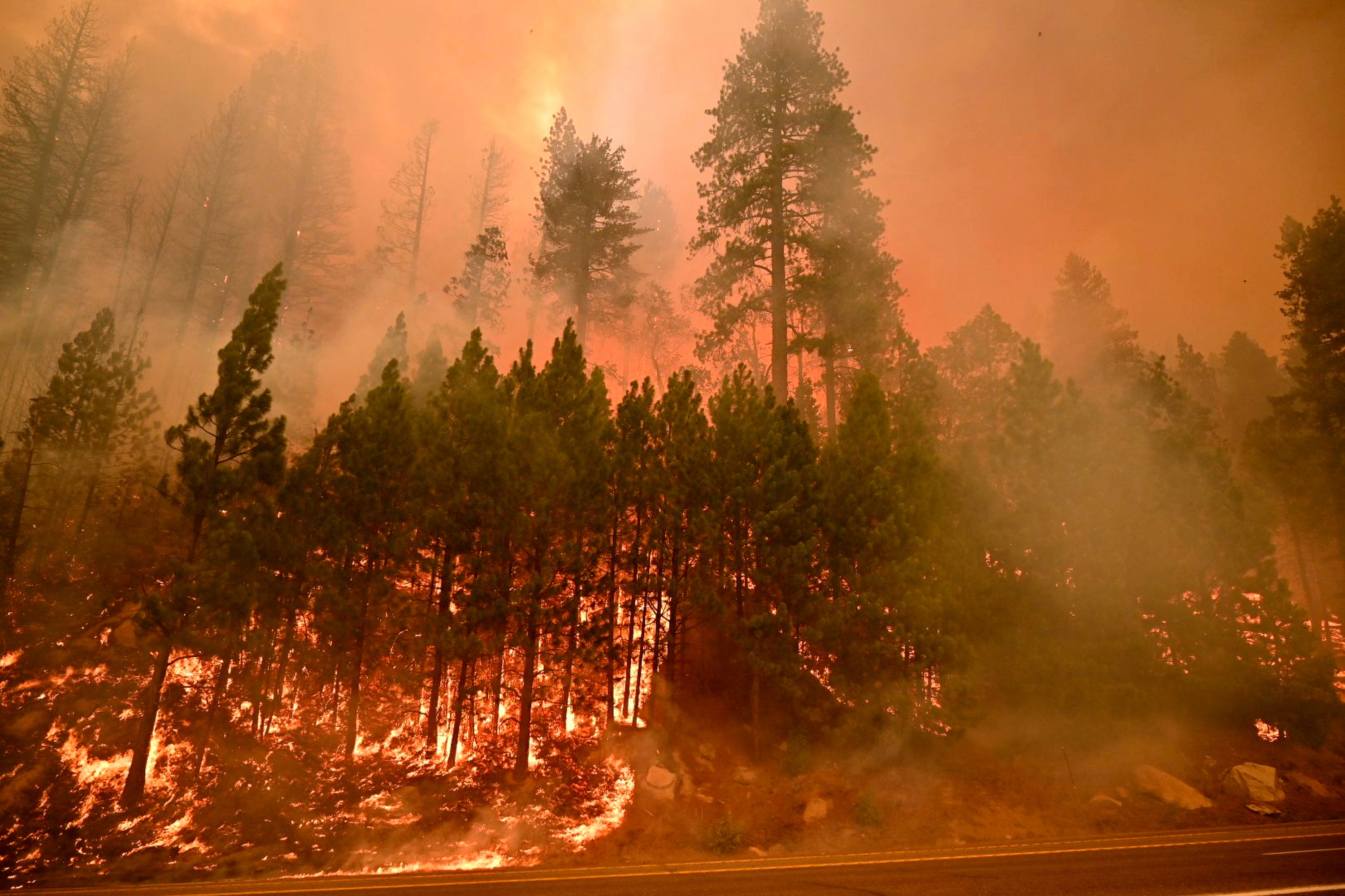 The Caldor Fire burns on both sides of Highway 50 about 10 miles east of Kyburz, California, on 26 August 2021