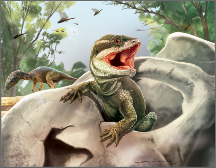 Life reconstruction of Taytalura in its natural habitat