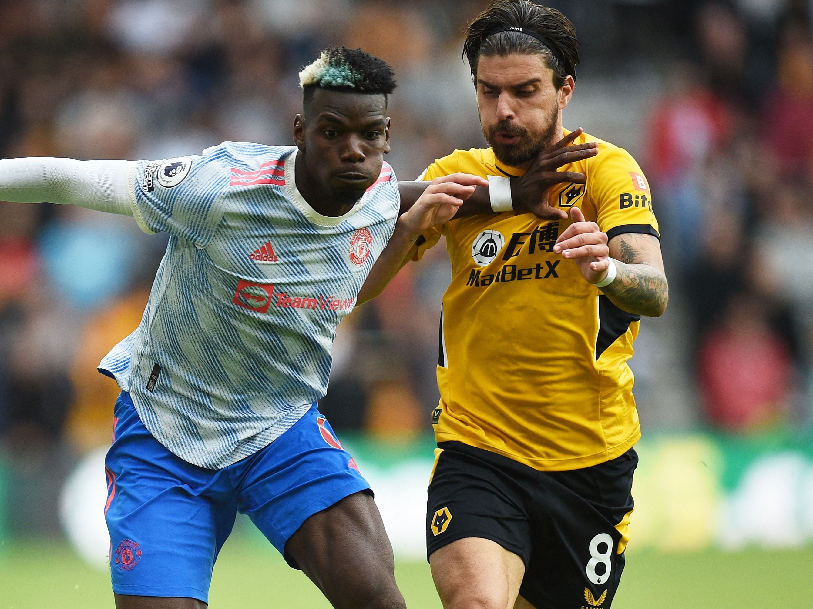 Paul Pogba and Ruben Neves were involved in the incident shortly before the game’s only goal