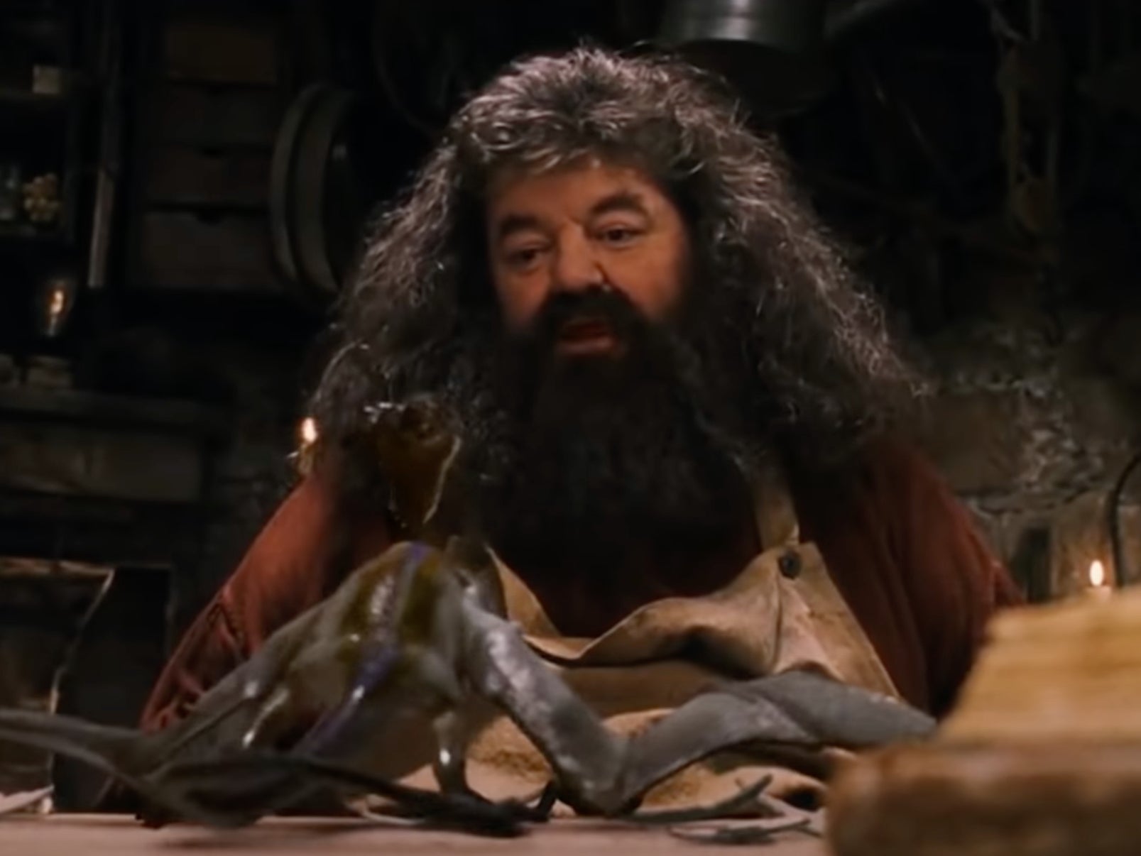 Coltrane as the imposing Rubeus Hagrid