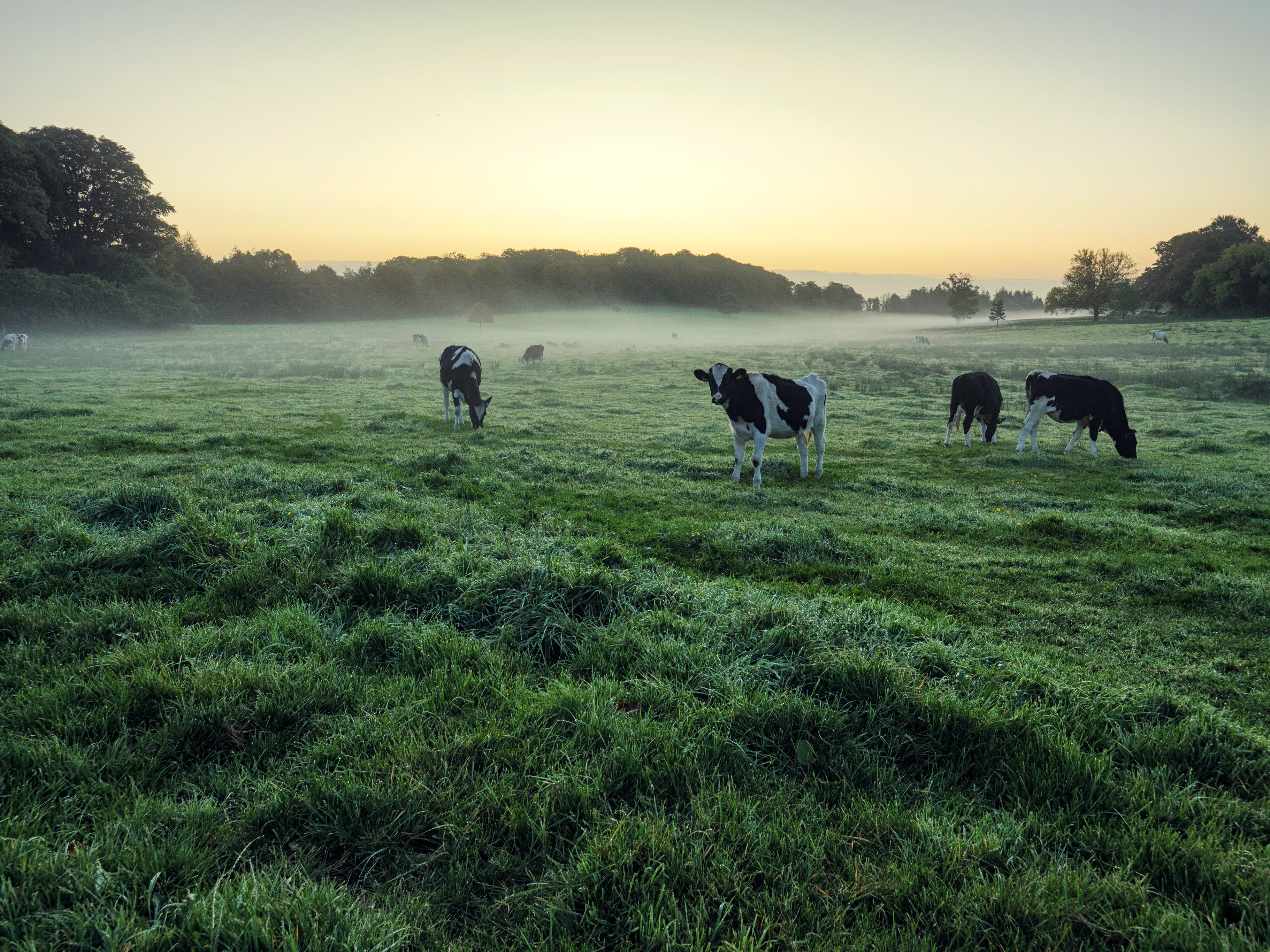 The autumn equinox is actually not the day when daytime and night-time are equal length. That comes three days later