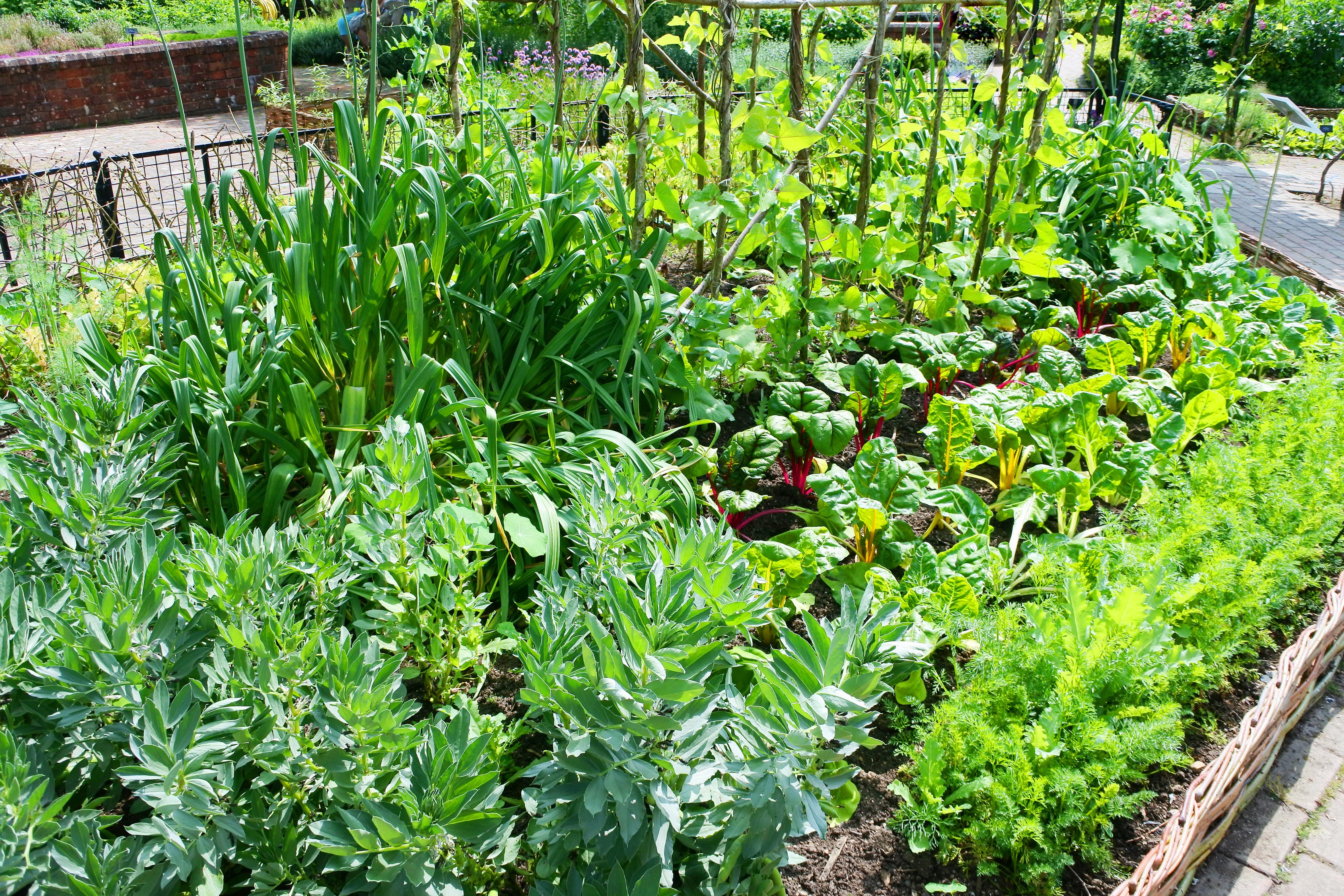 A potager garden full of organic vegetables (Alamy/PA)