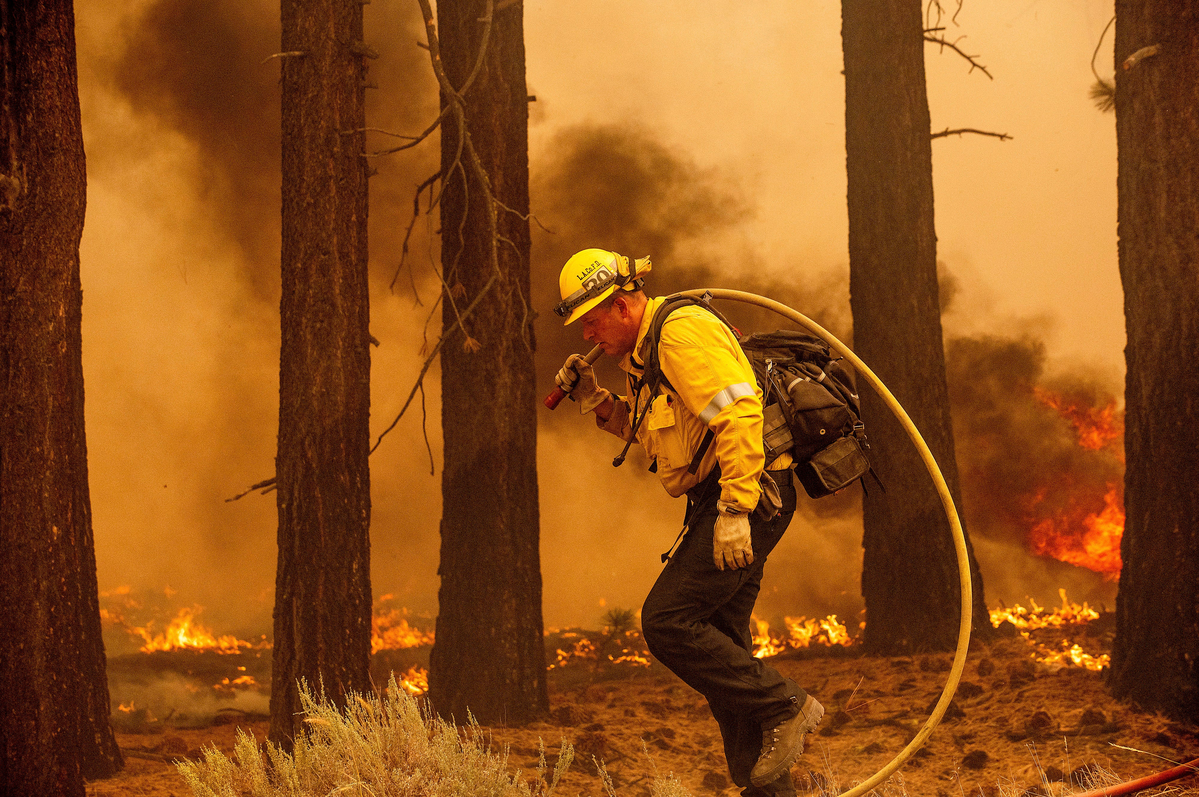 Western Wildfires California