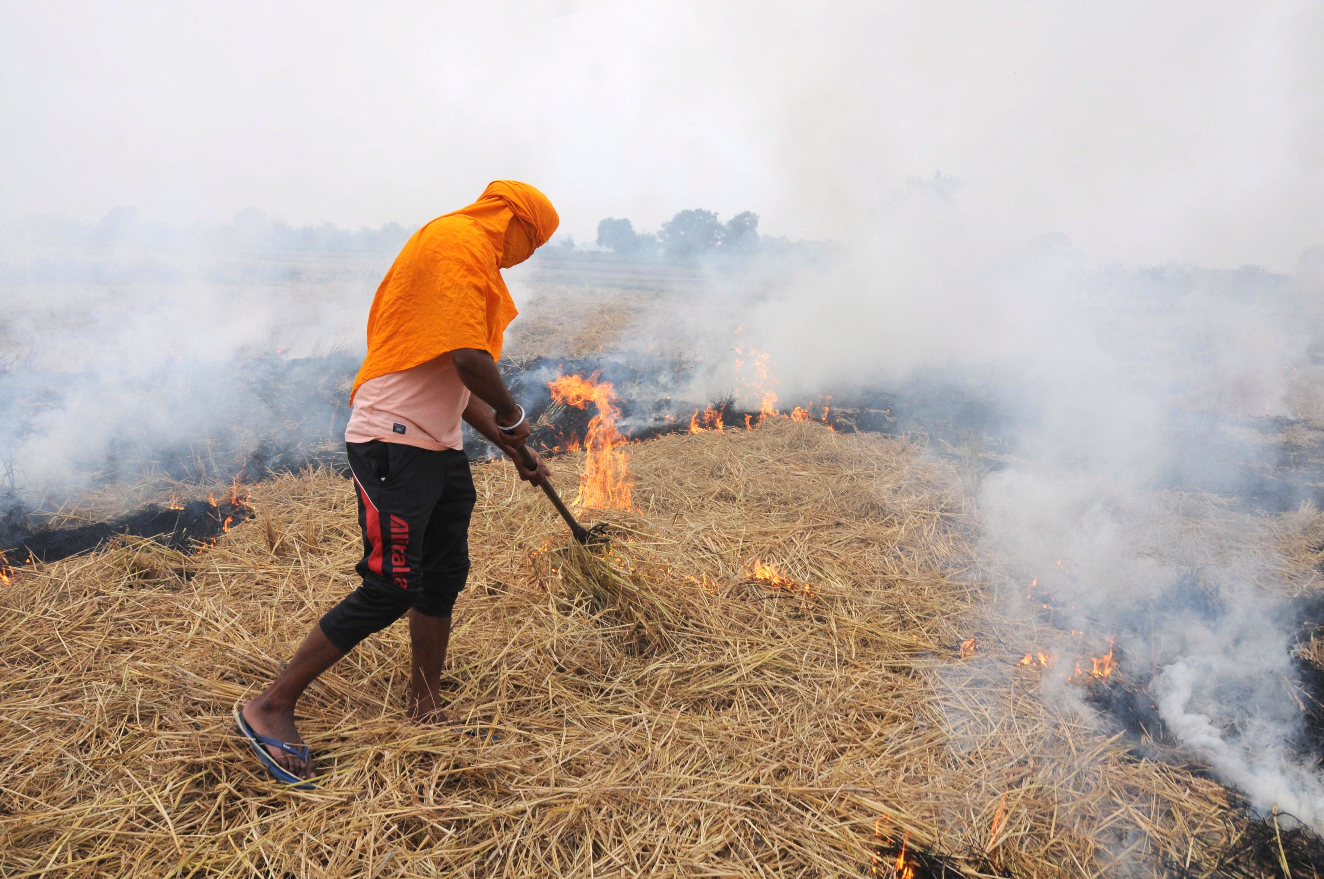 File: An Indian farmer burns crop stubble near a village in India’s Punjab state