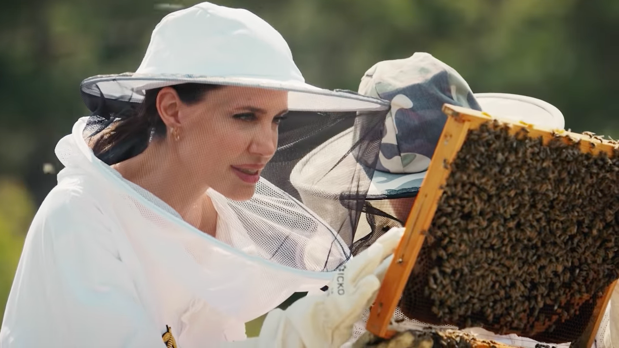 Angelina Jolie shares support for initiative teaching beekeeping