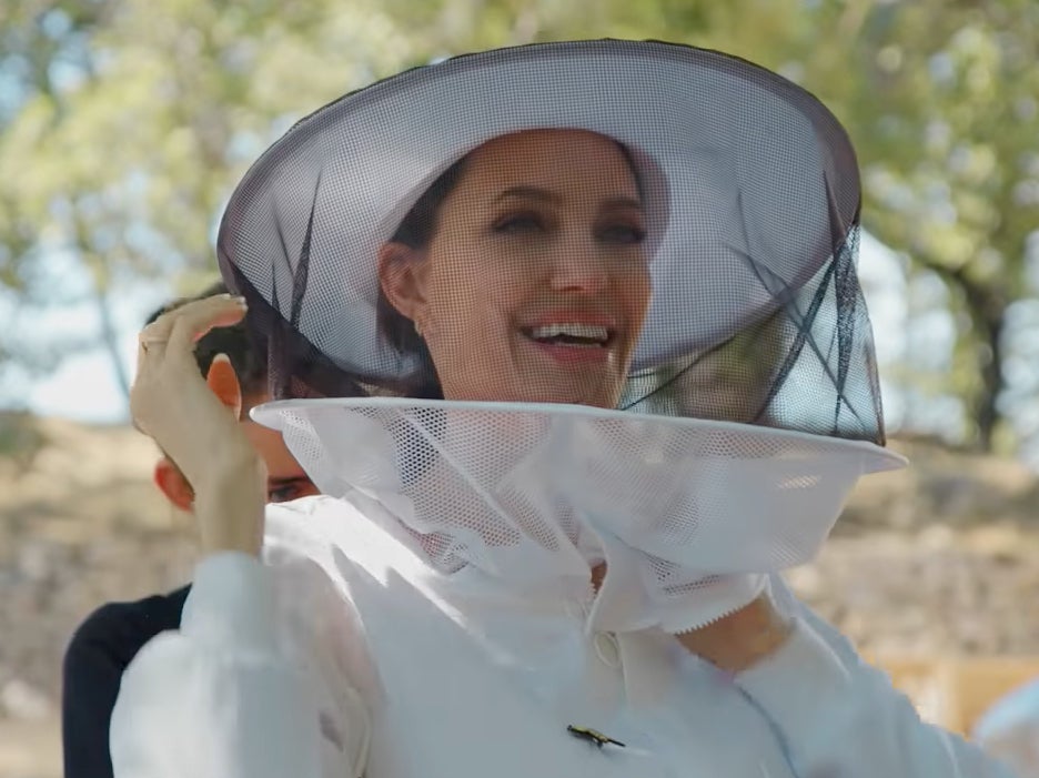 Angelina Jolie raises awareness of importance of beekeeping