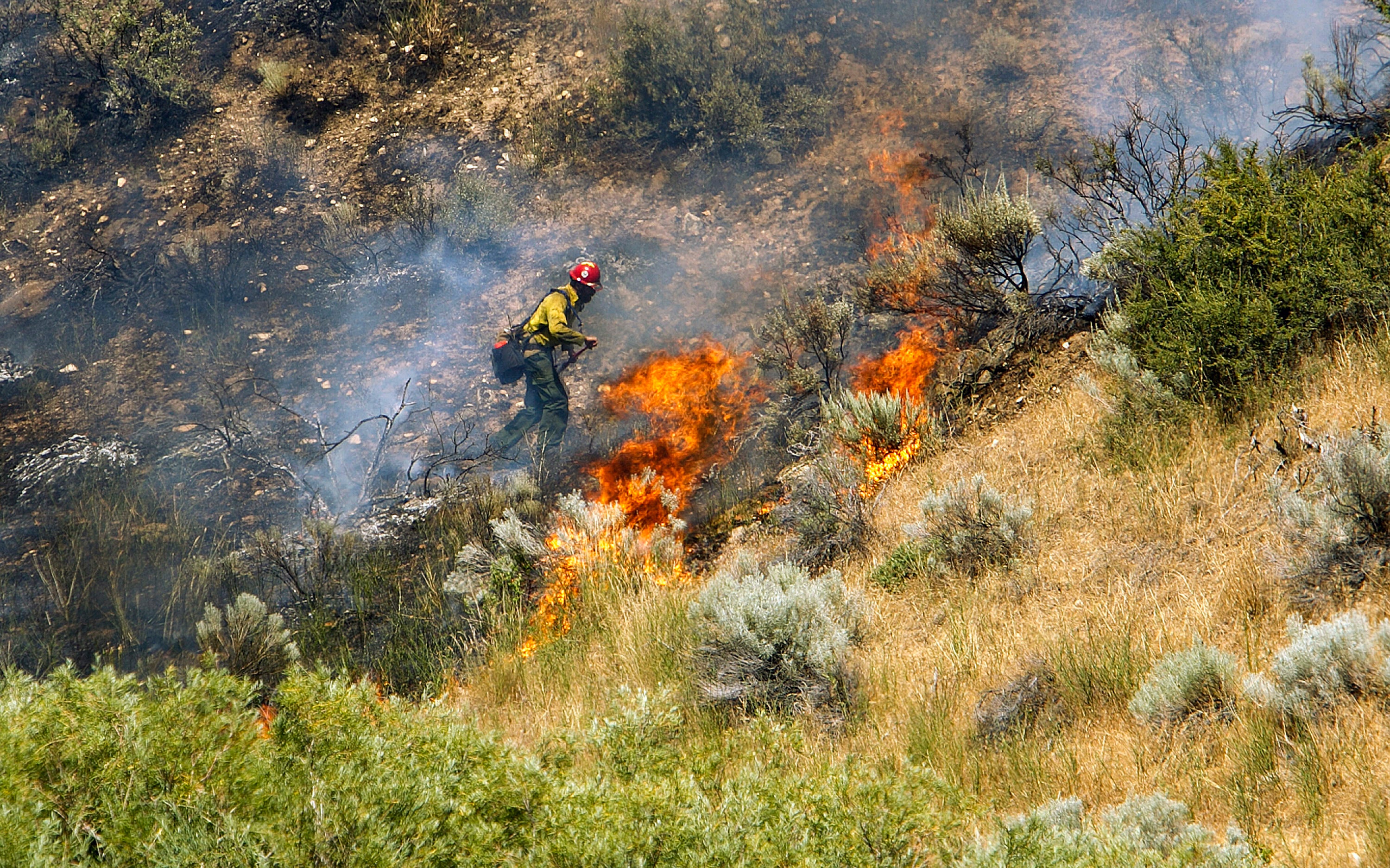 Wildfires-Firefighter Workforce