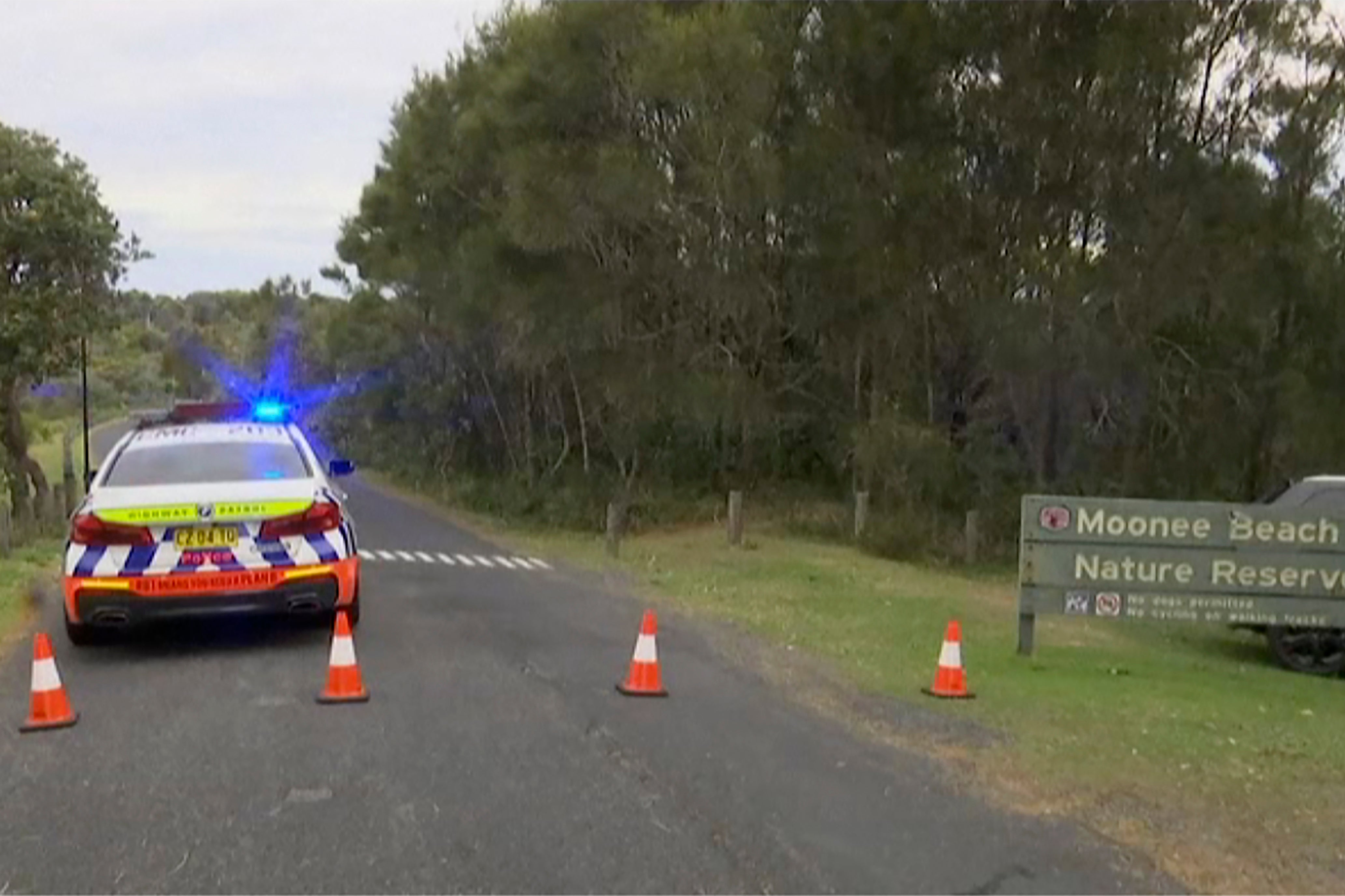 A surfer was fatally bitten by a shark off Australia's eastern coast Sunday as many locals went to beaches to celebrate Father's Day