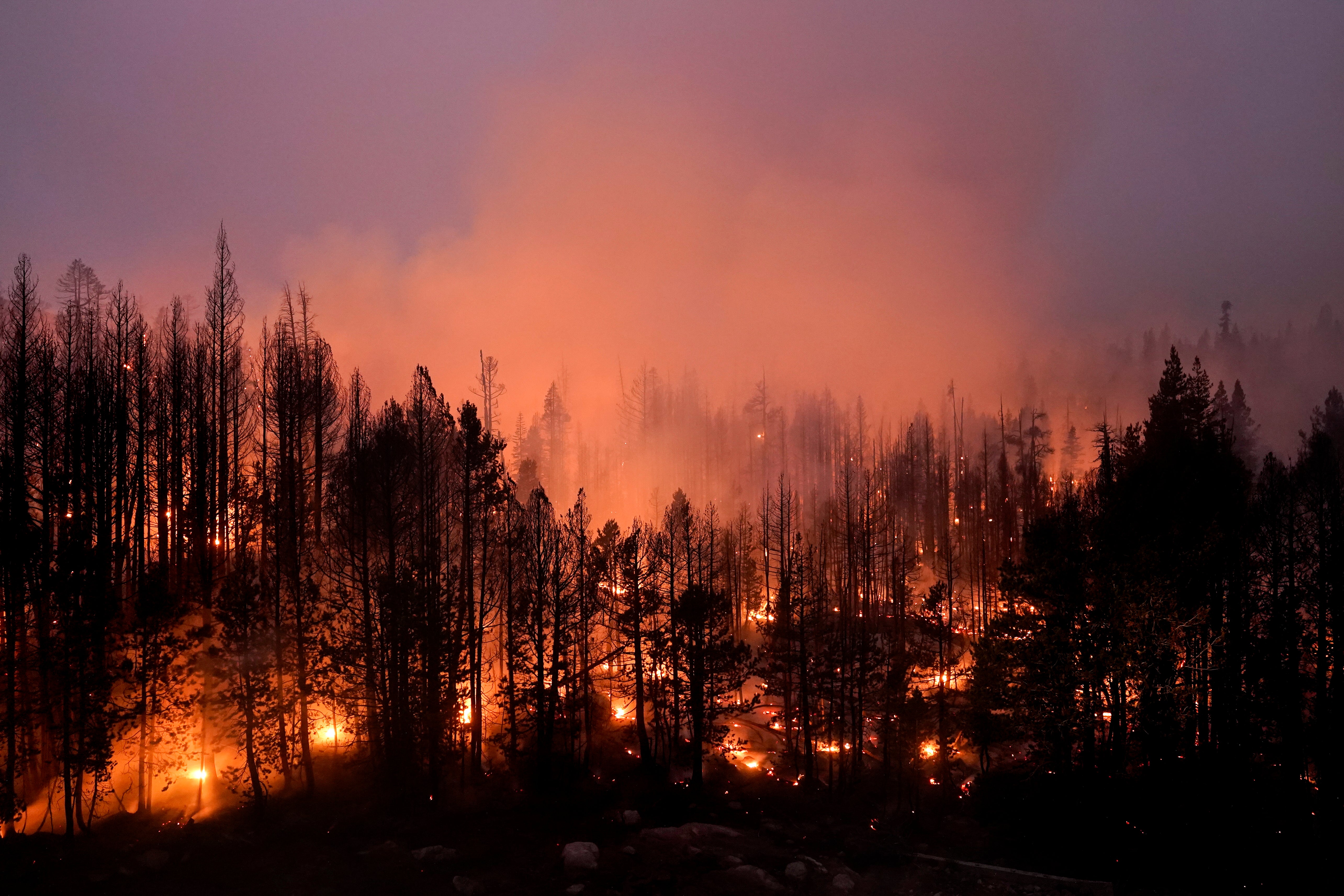 Western Wildfires