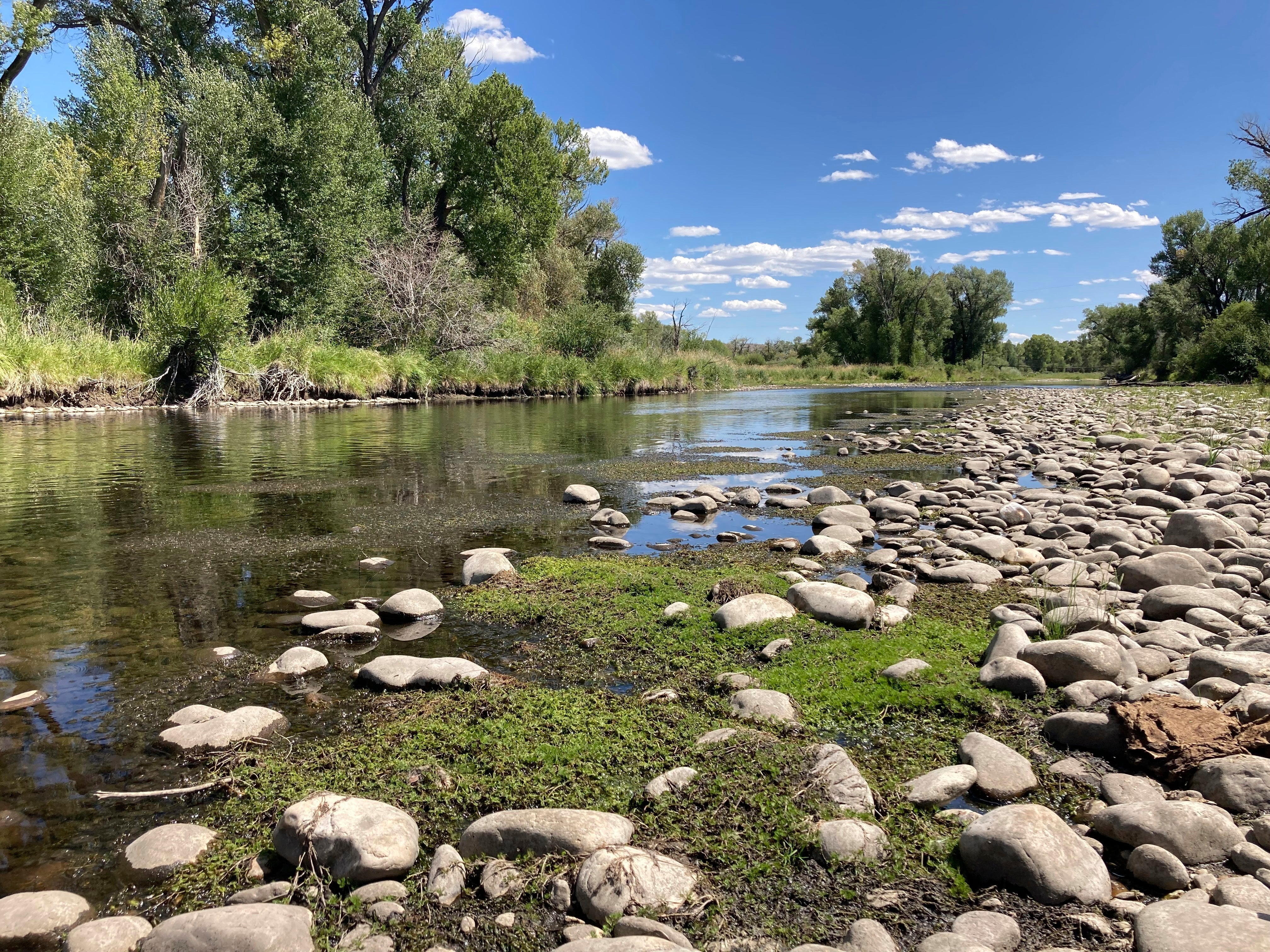 Climate Trout Stream Trouble