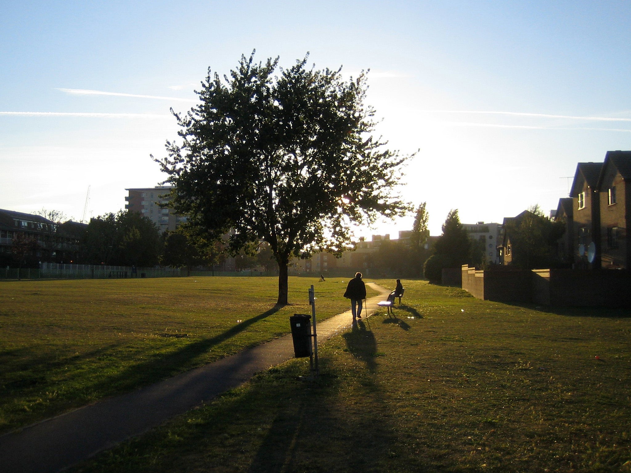 Ruby the poodle, her owner, and a passer-by were all attacked by the three dogs at Bartlett Park, in Poplar, east London