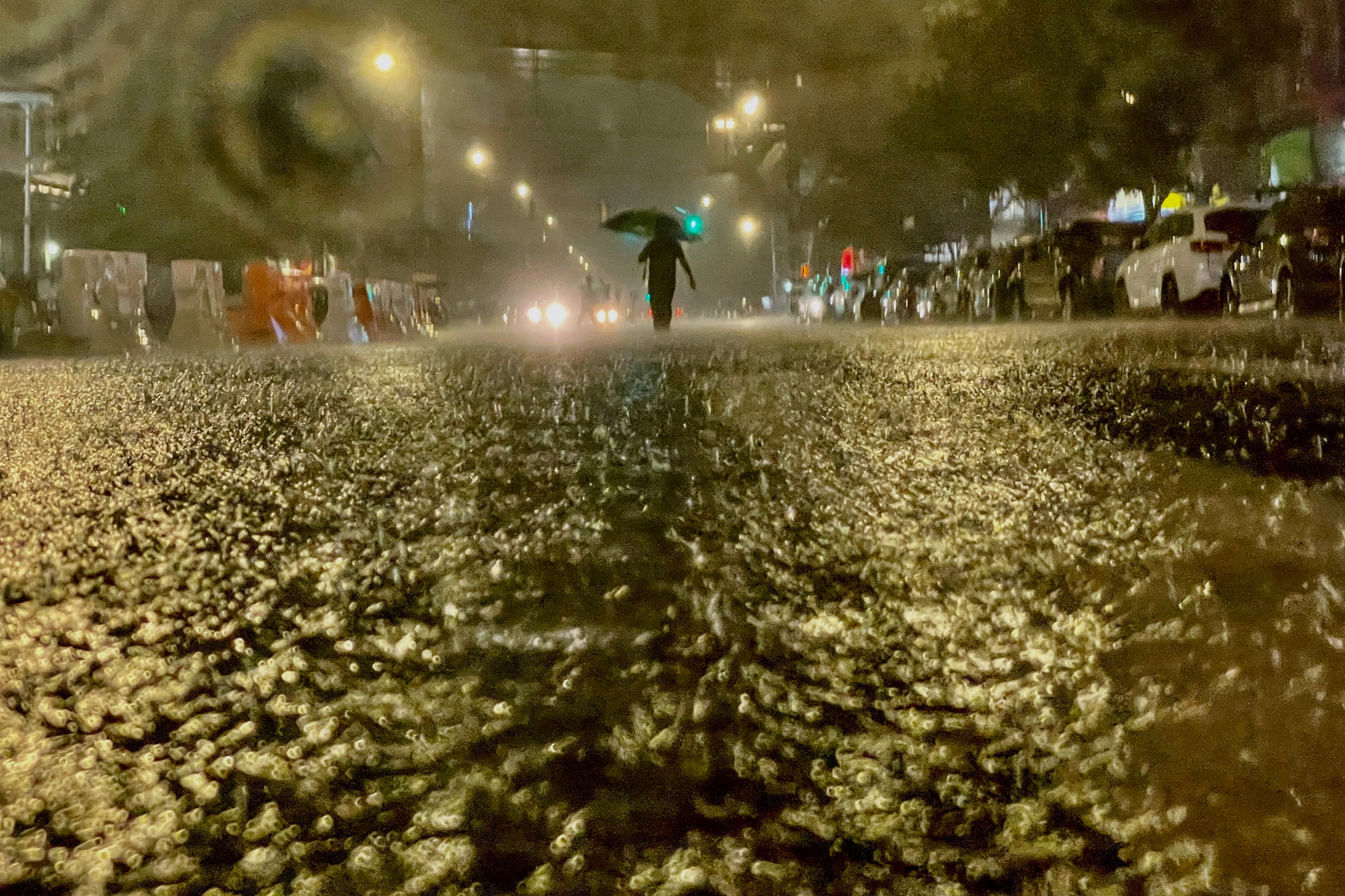 Hard rain falling: a man carries a brolly as streets in the Bronx flood over