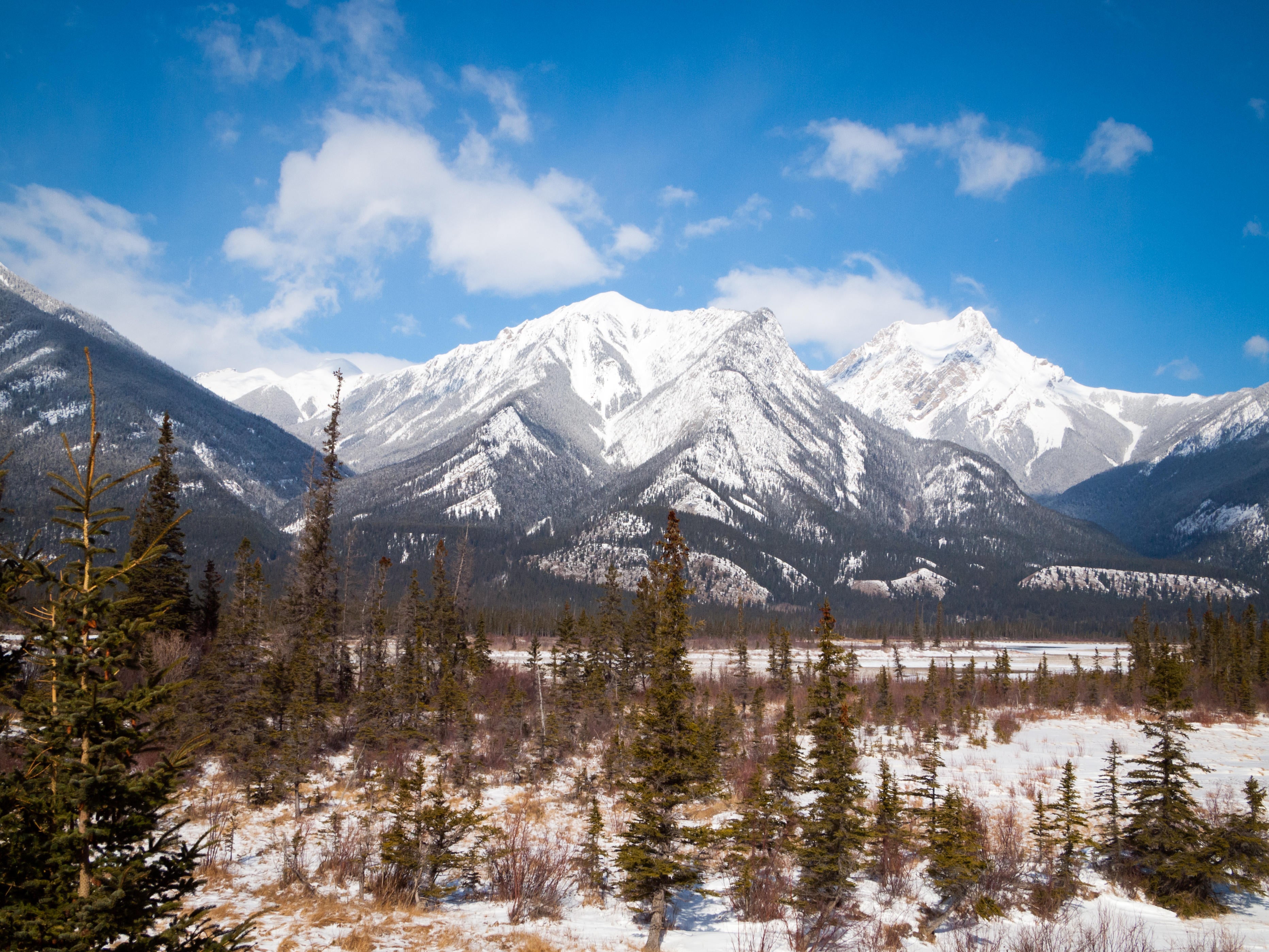 Esplanade Mountain, Jasper National Park, Alberta (Alamy/PA)