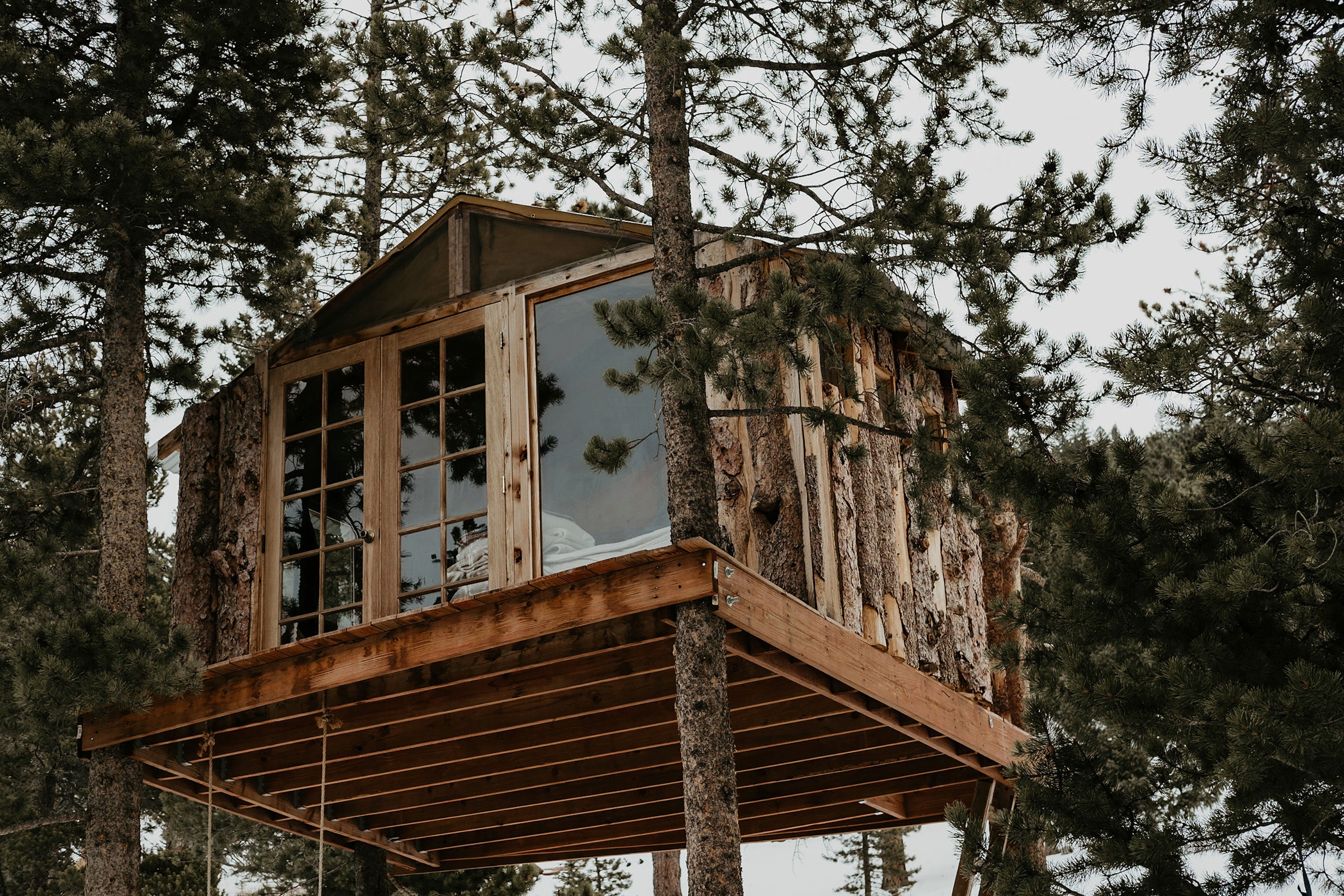 Homes Treehouses