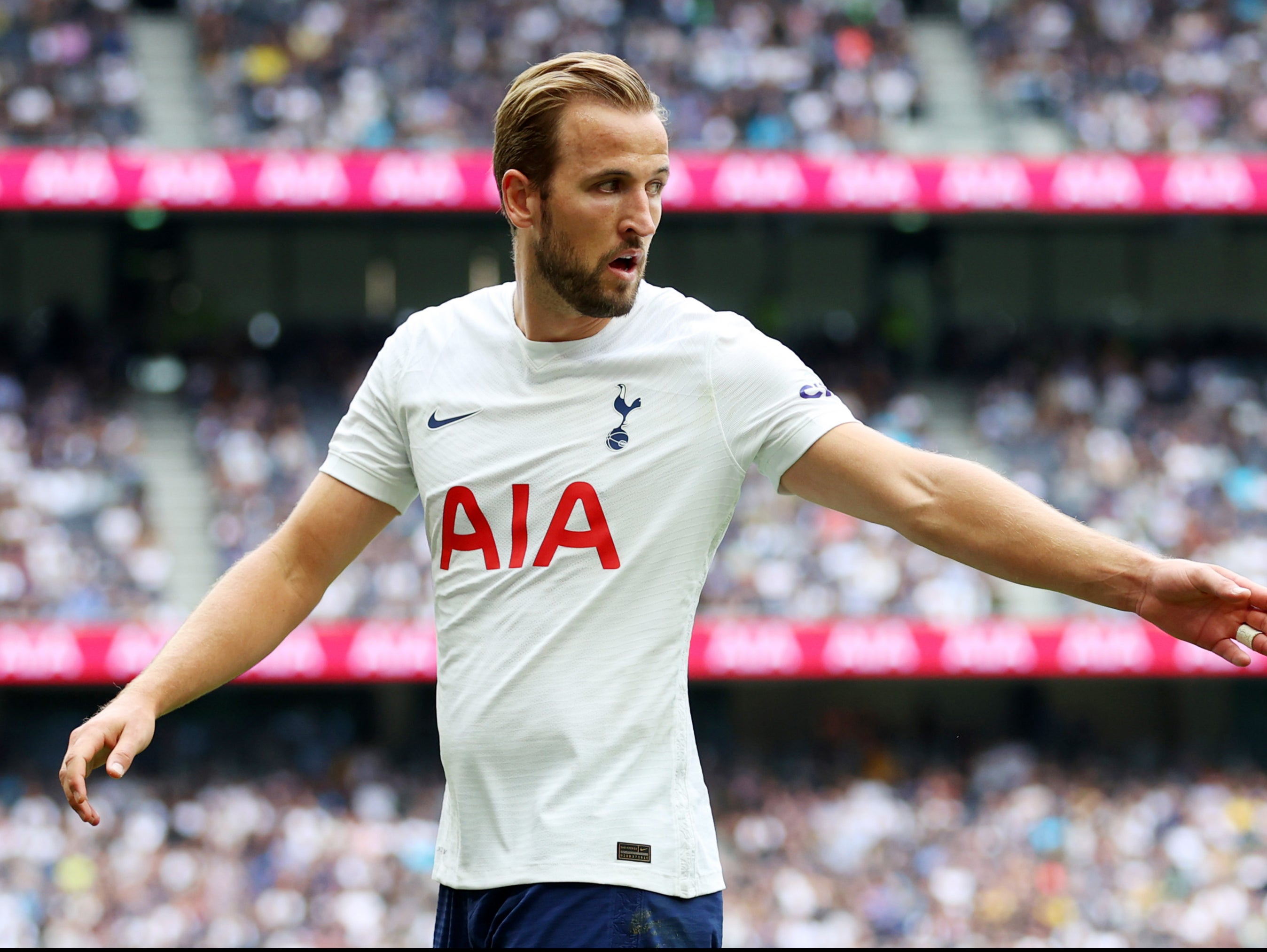 Tottenham striker Harry Kane is often a popular Triple Captain pick