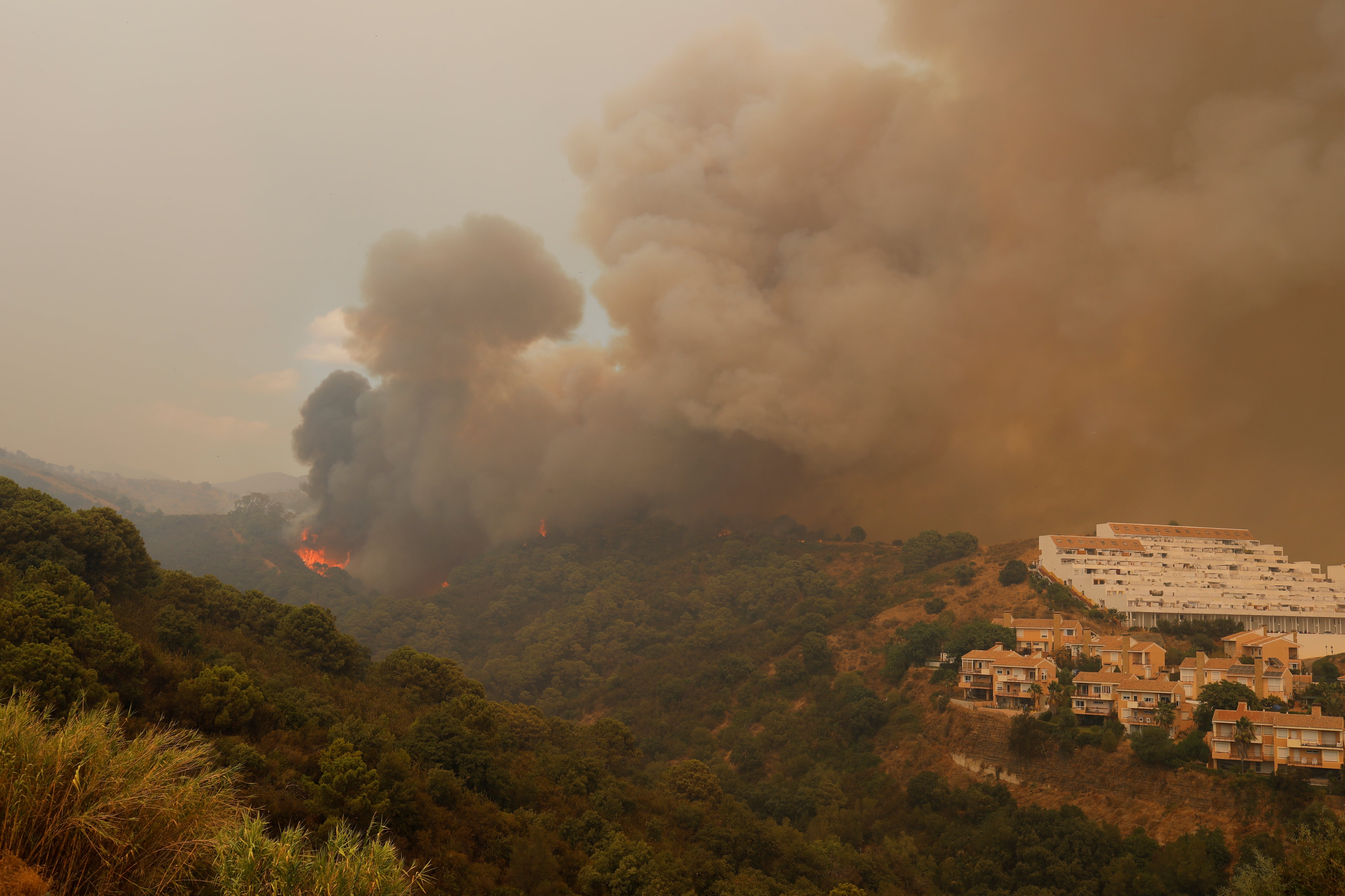 Firefighter killed and 1000 evacuated as Costa del Sol wildfire rages out of control