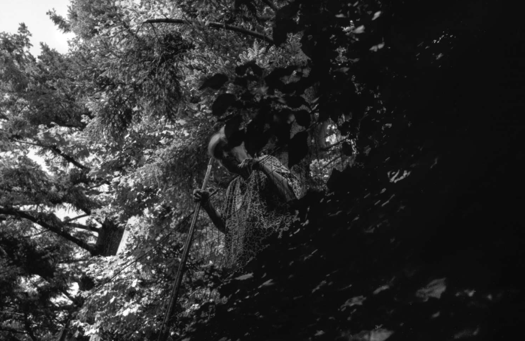 An old lady sweeping in her garden. During the pandemic, she never left her house