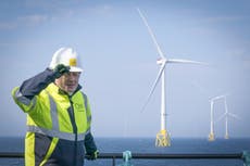 Government pledges £265m more each year to support renewable energy