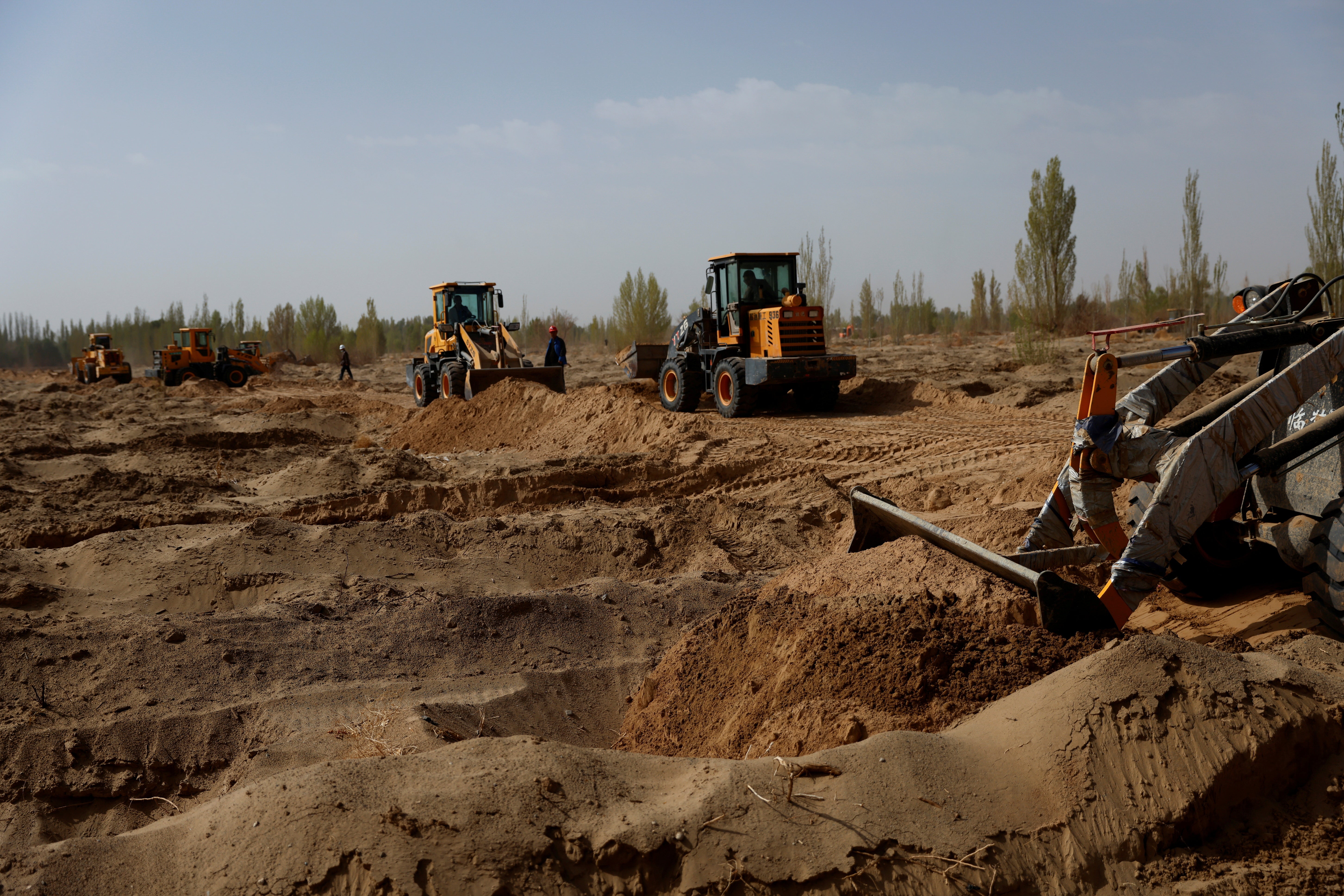 Wheel loaders prepare a field for tree planting